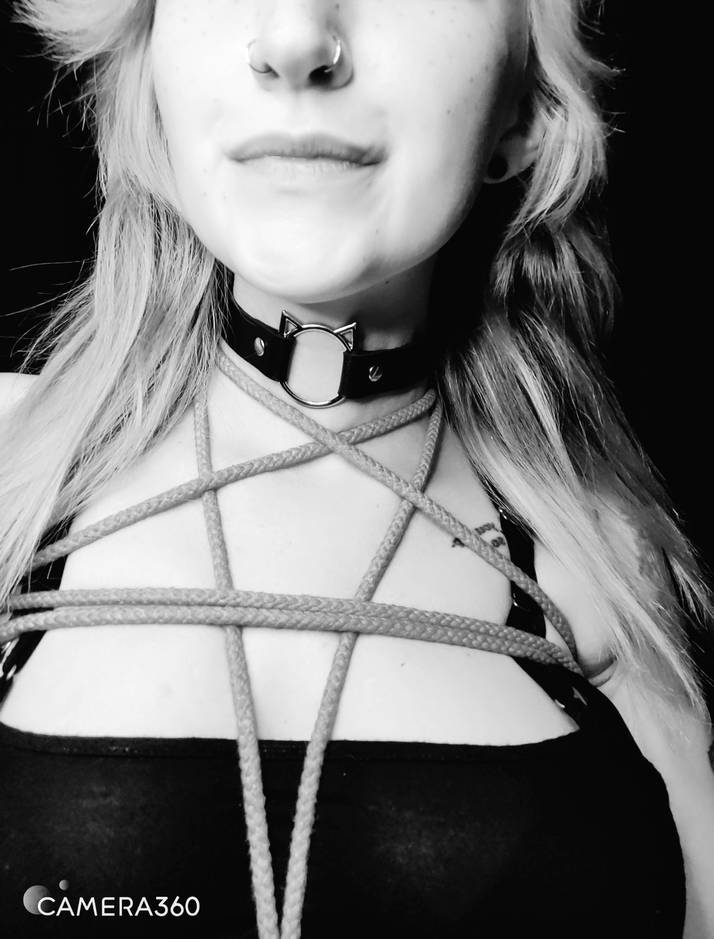 Abby Normal's avatar