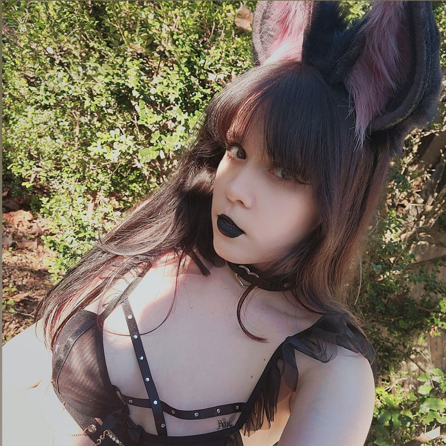 Pixie ♡'s avatar
