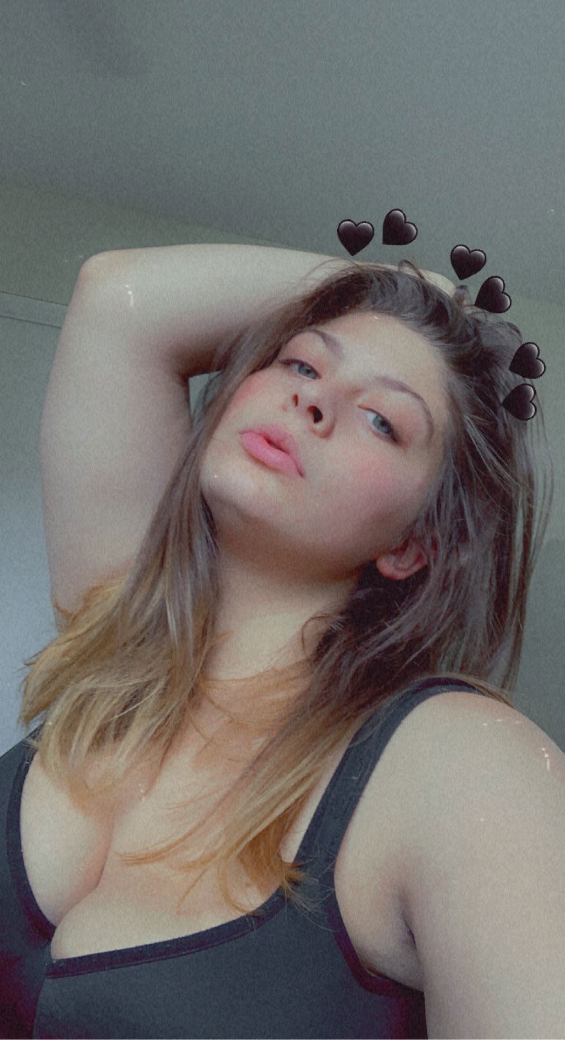 AddieBear
