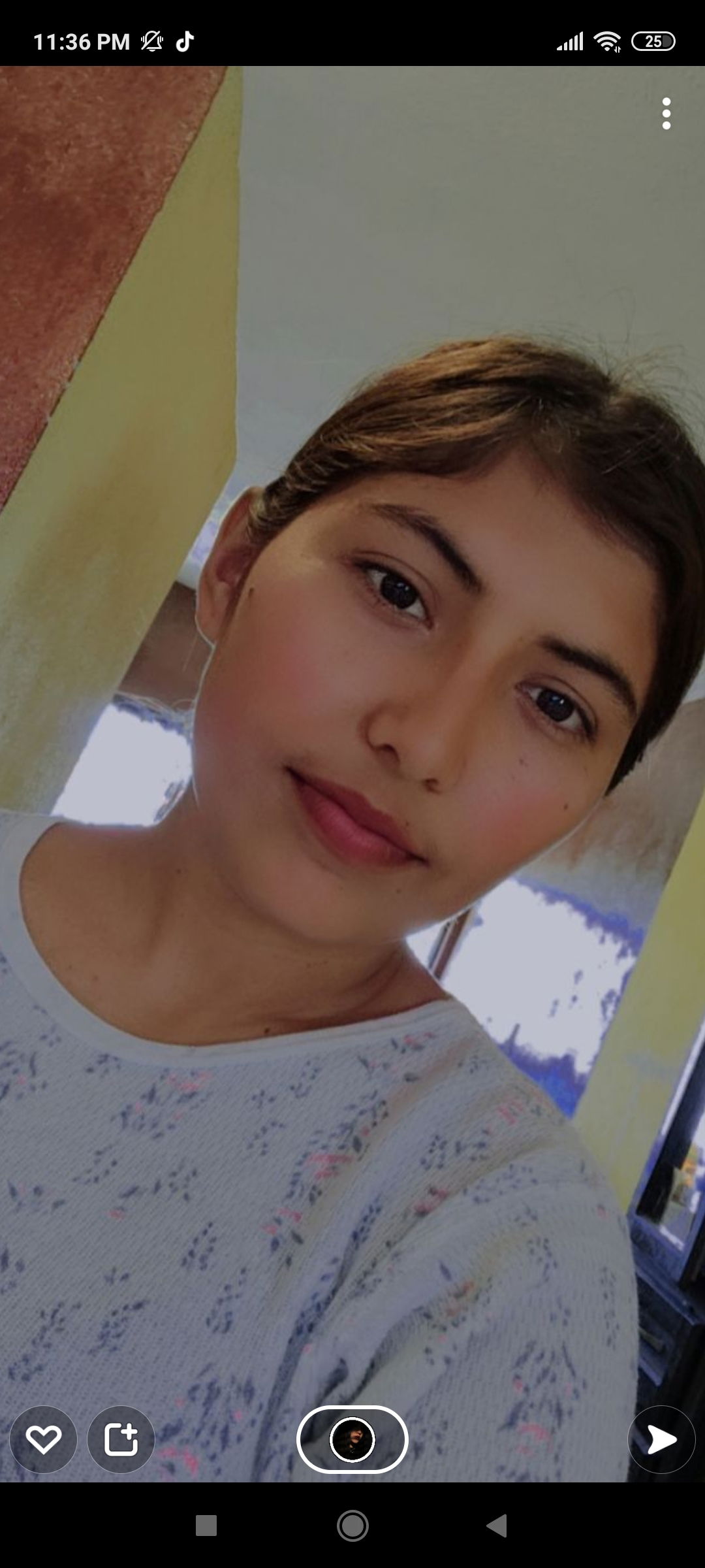 Adilene