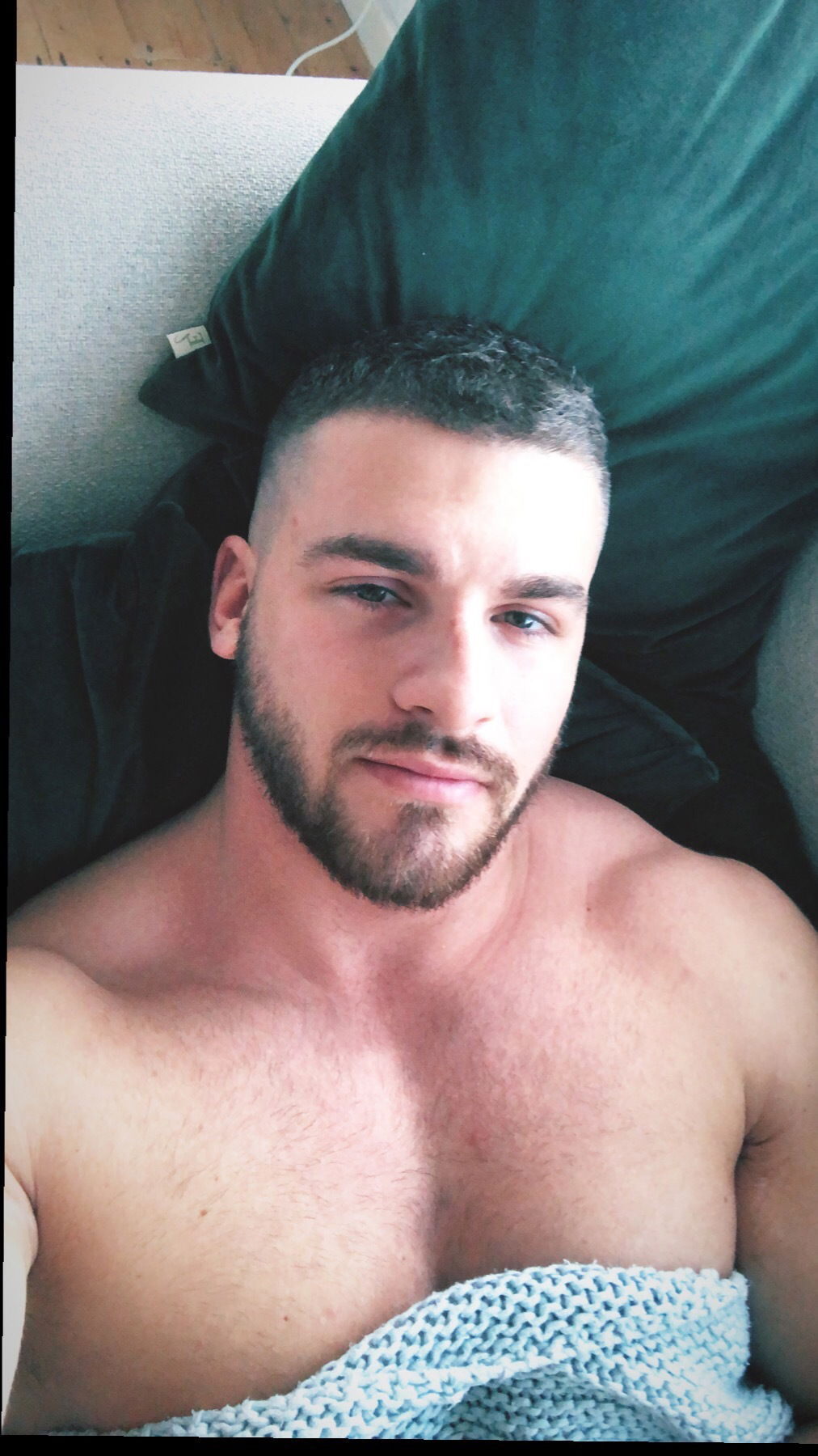 The Adonis's avatar