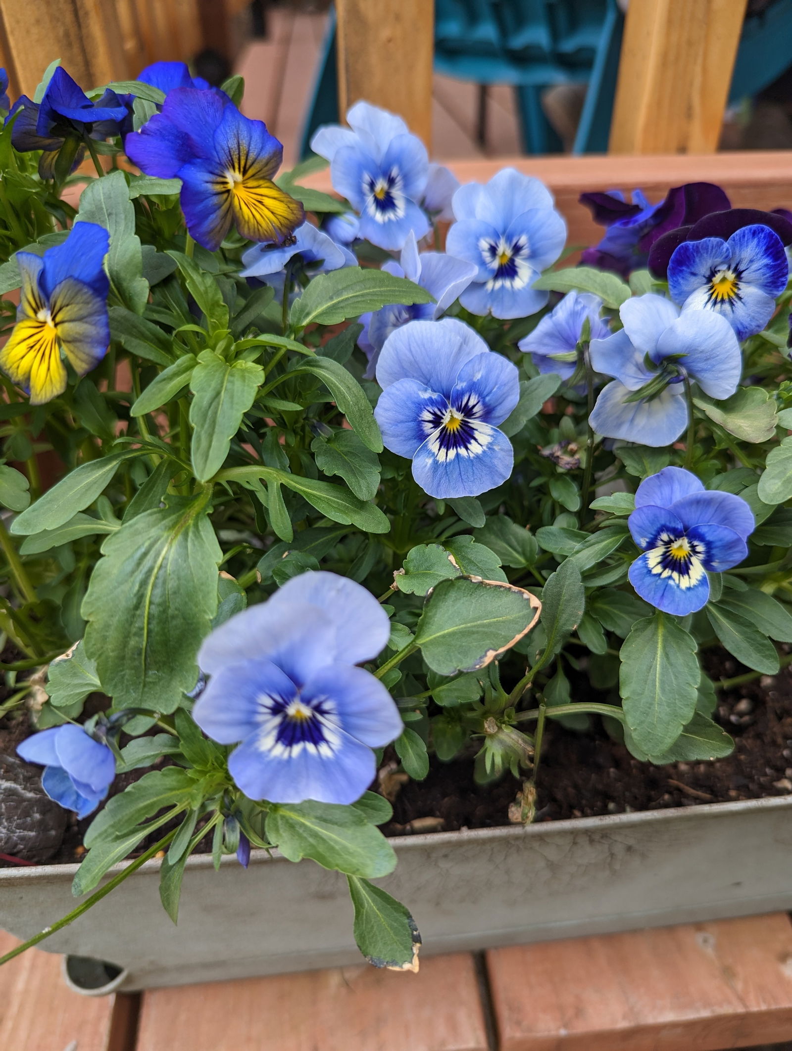 m's avatar