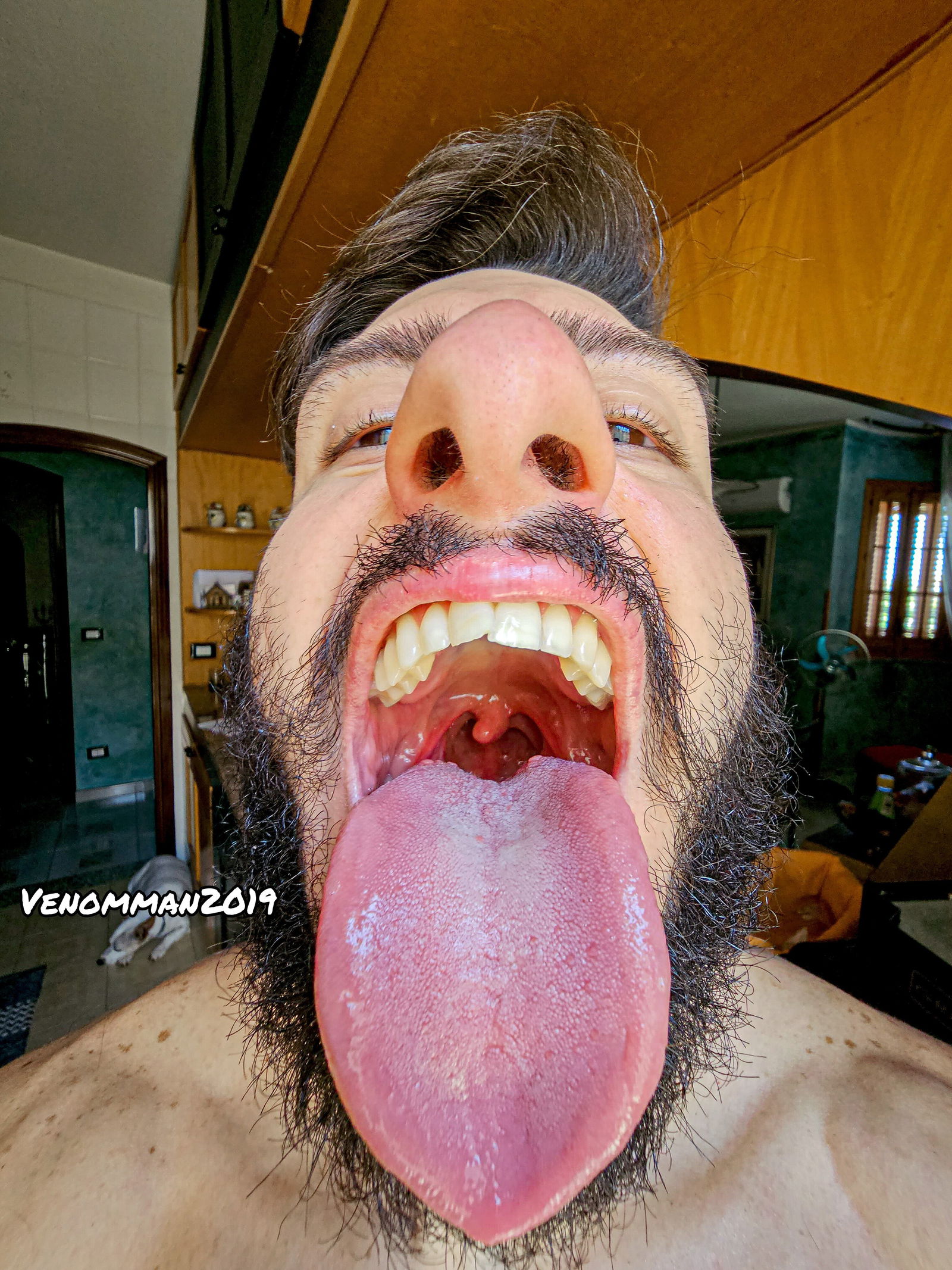 AlexanderVenom's avatar