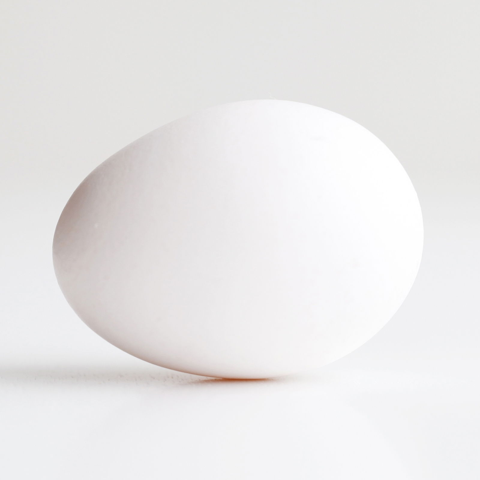 An Egg