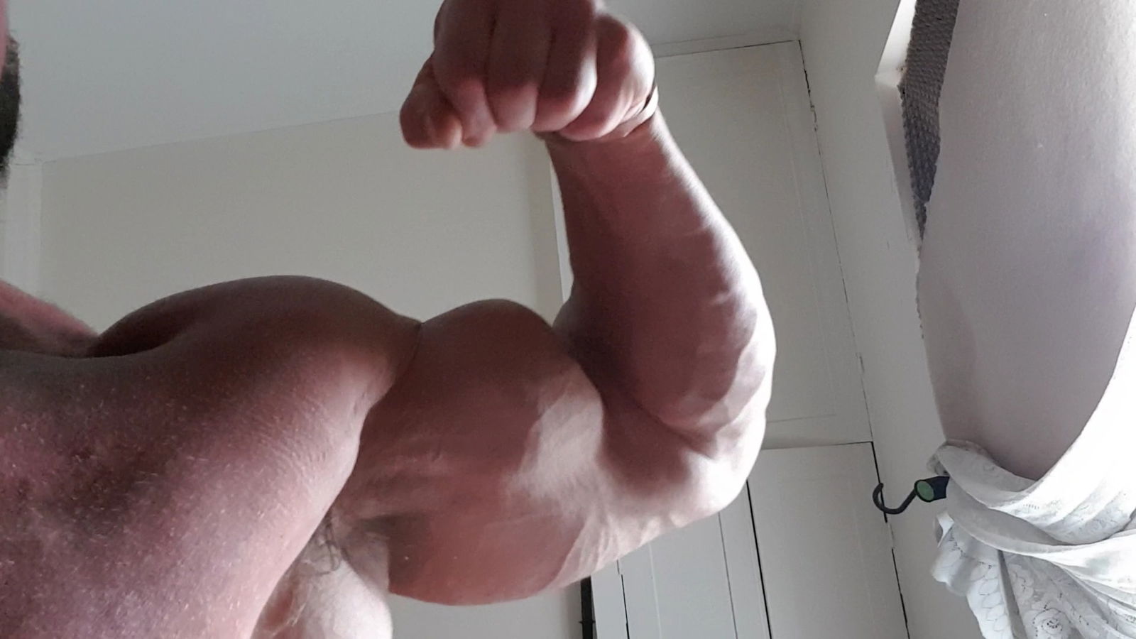 Andy Anabolic's avatar