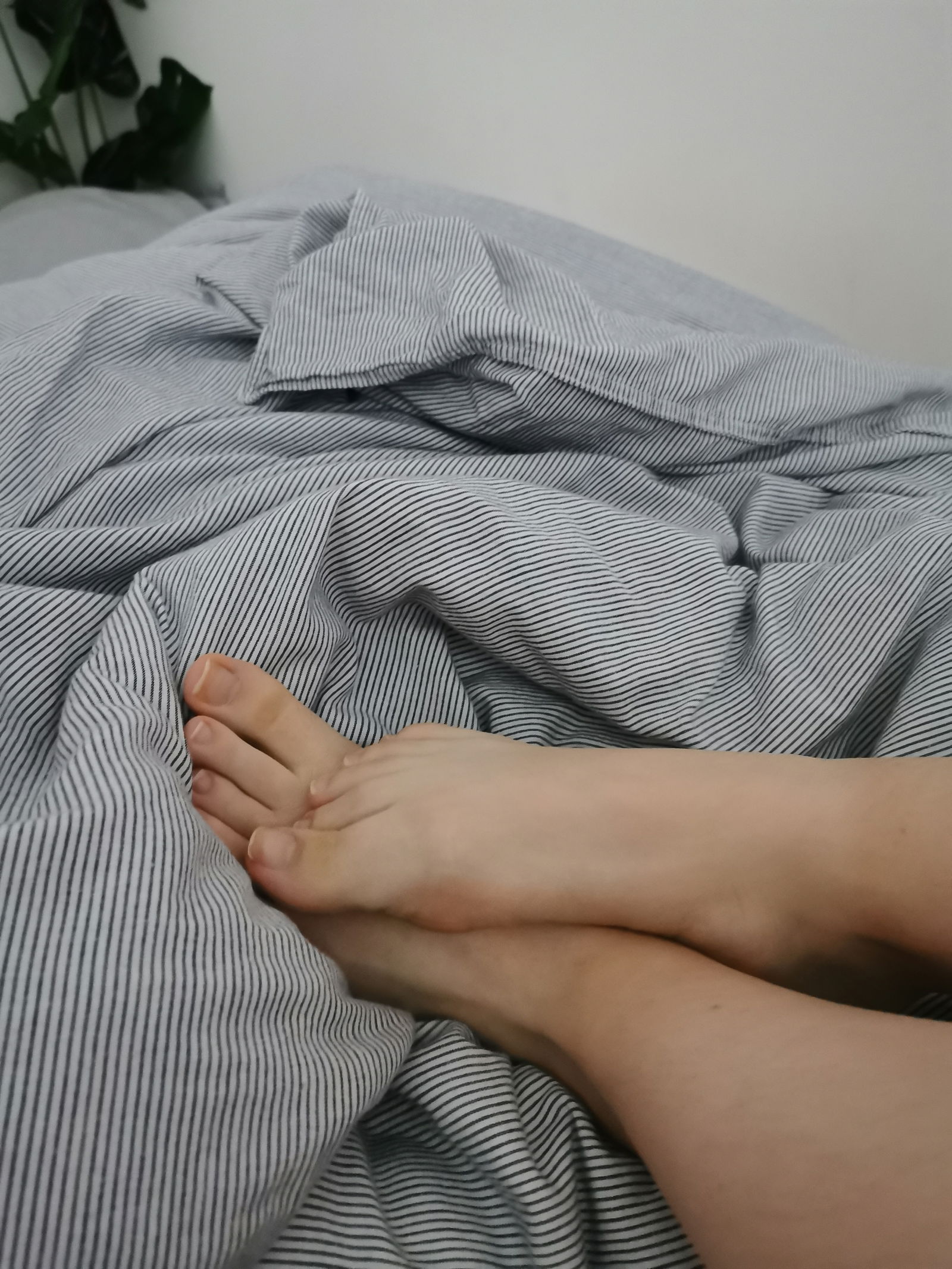 ANGEL FEET's avatar