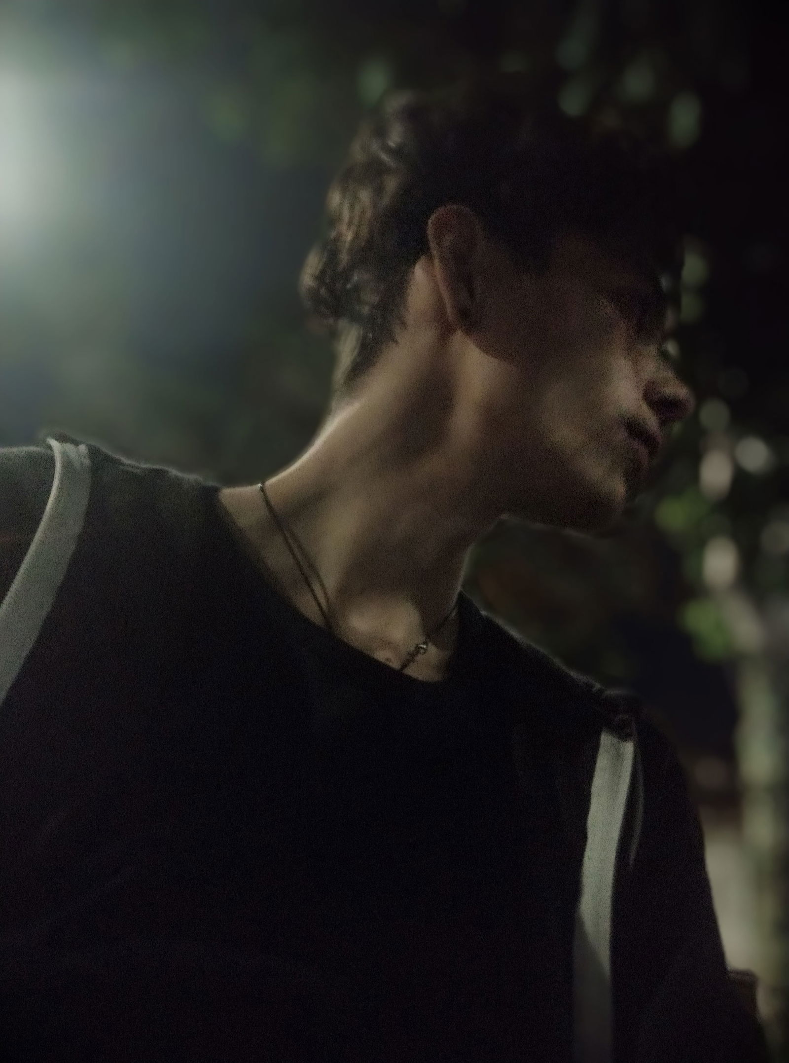 David's avatar