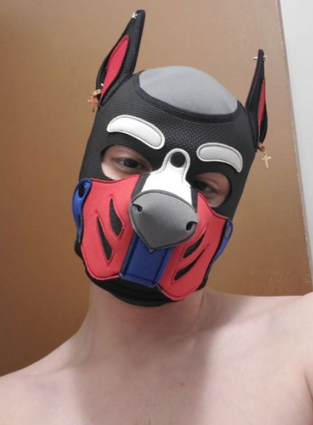 Sir Royal's avatar
