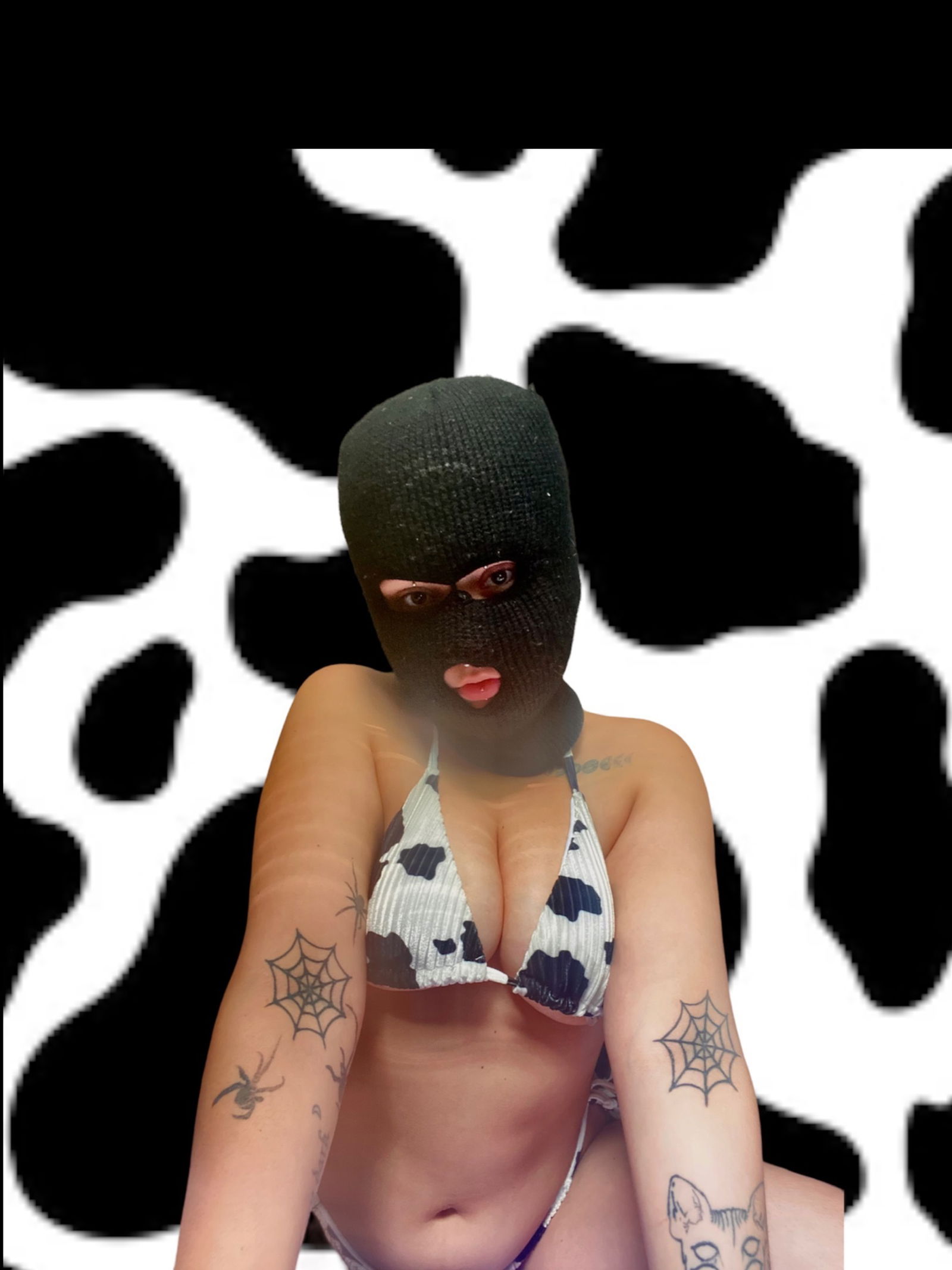 Holly Logan's avatar