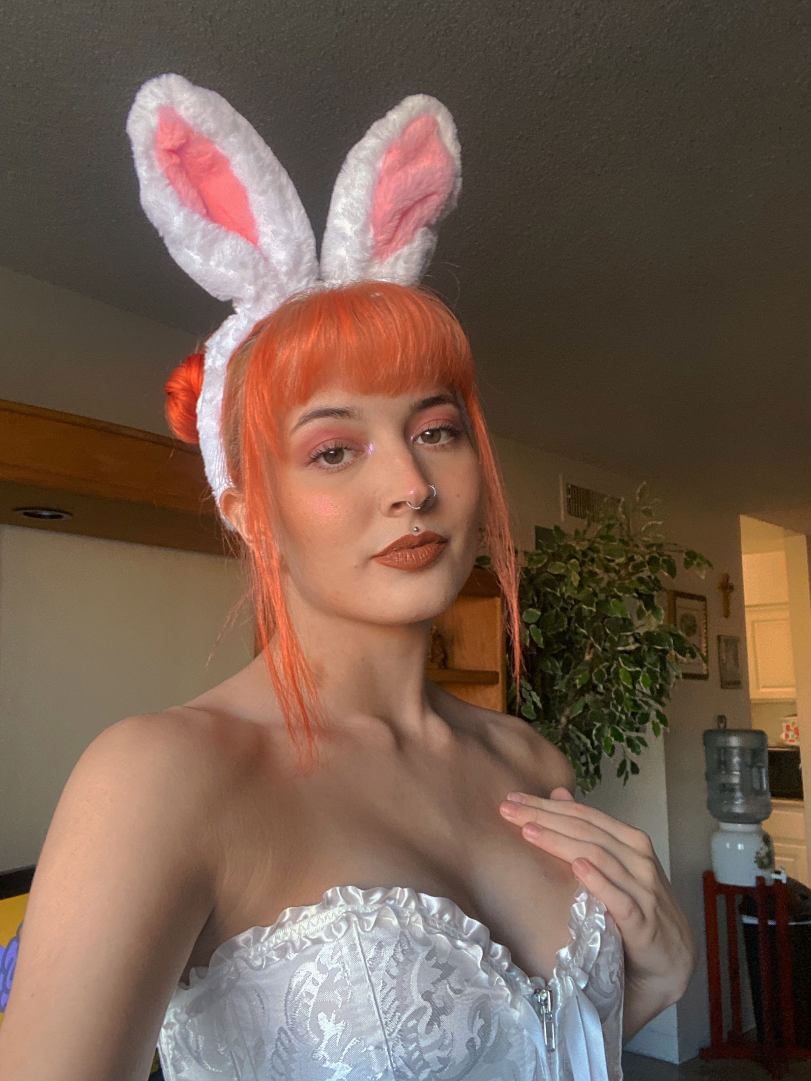 Aphrodite Dove