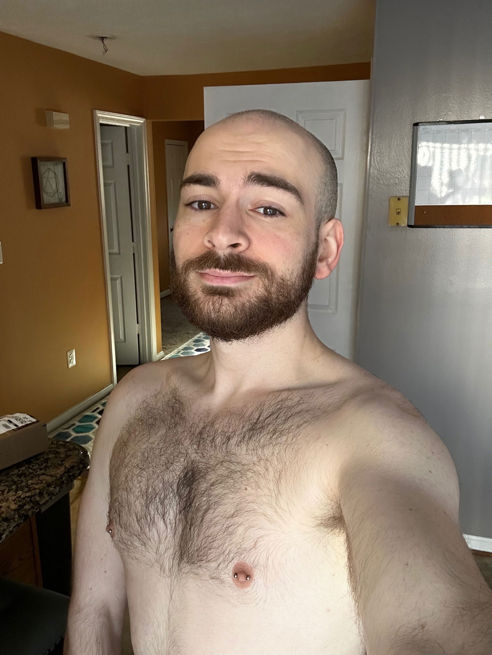 ApollosOtter's avatar