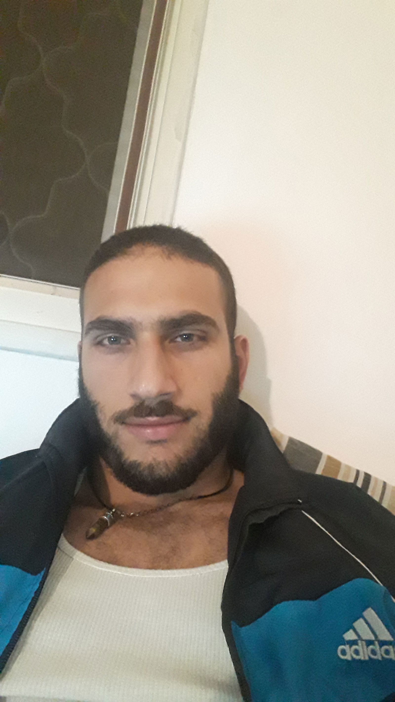 Arabian breeder's avatar