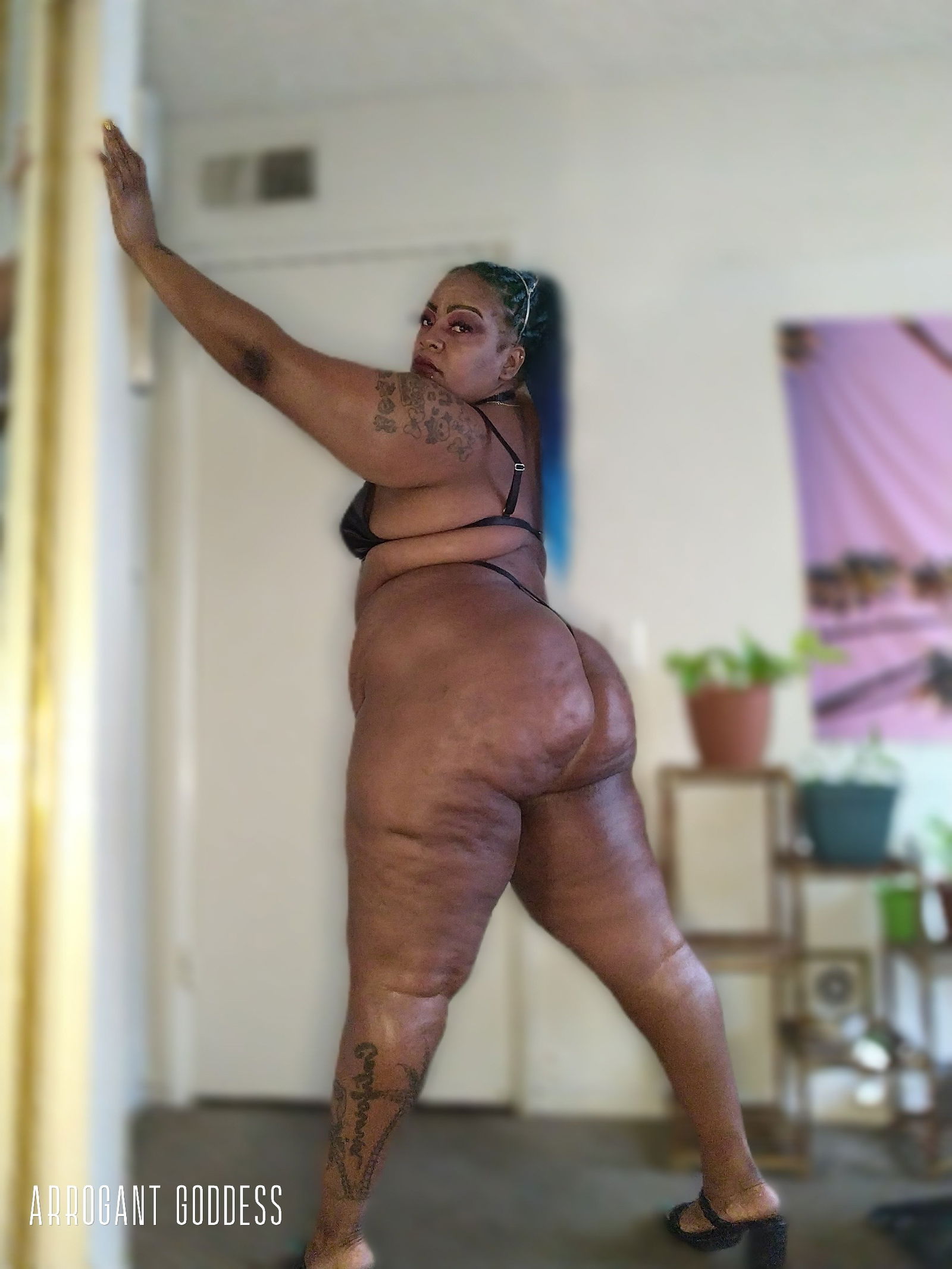 arrogantgoddessfree