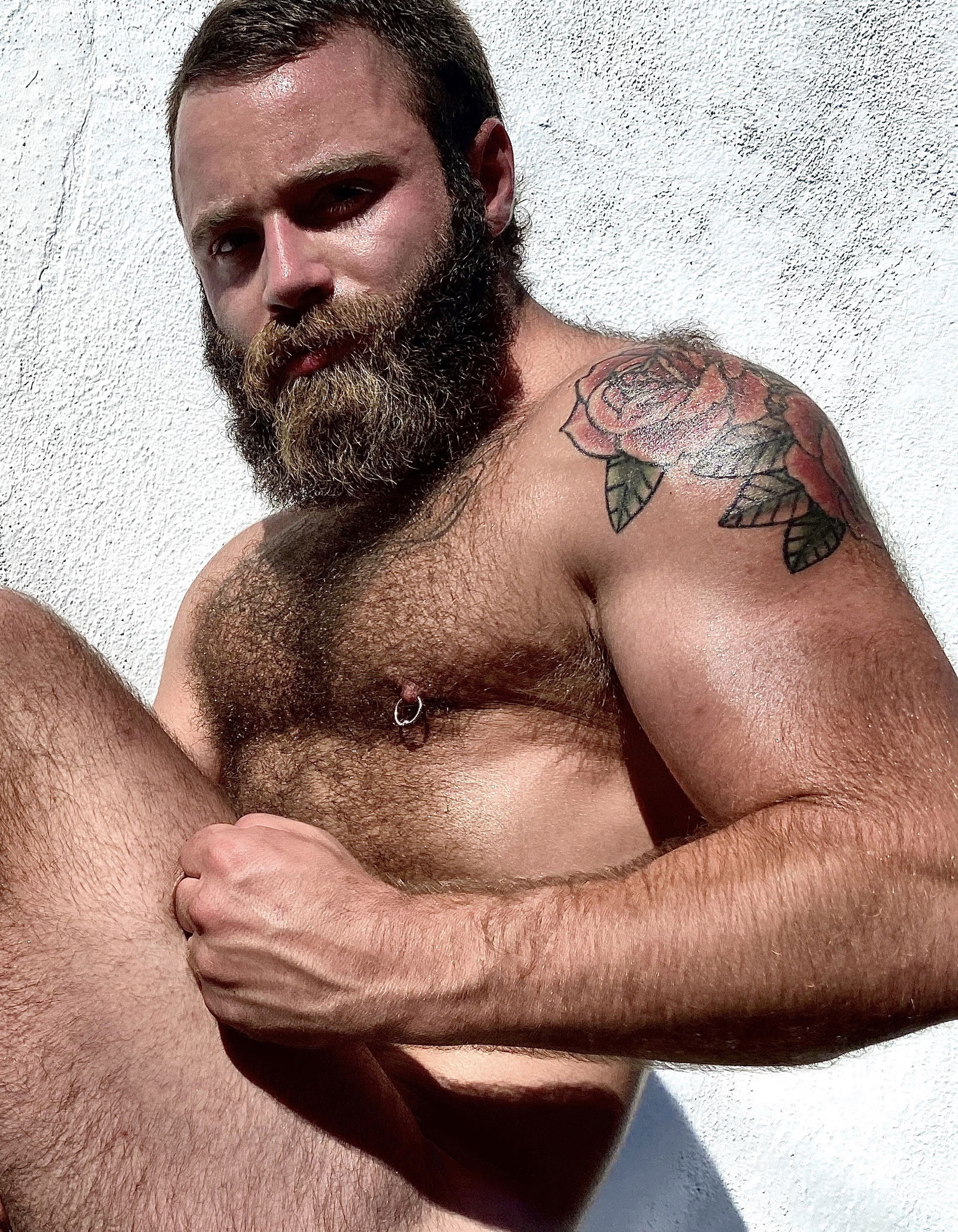 Baby Bear Muscles's avatar