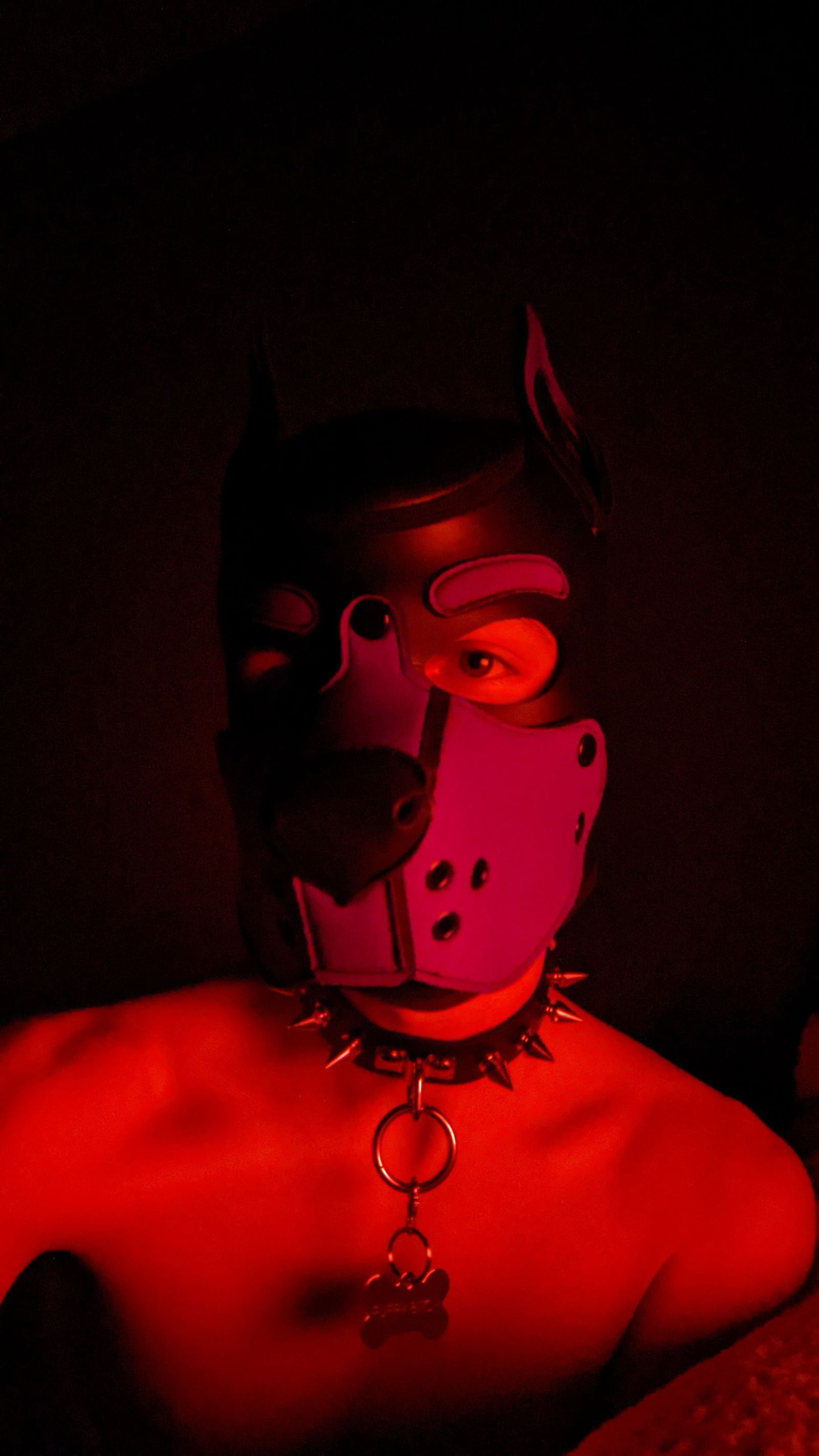 Bad Puppy's avatar