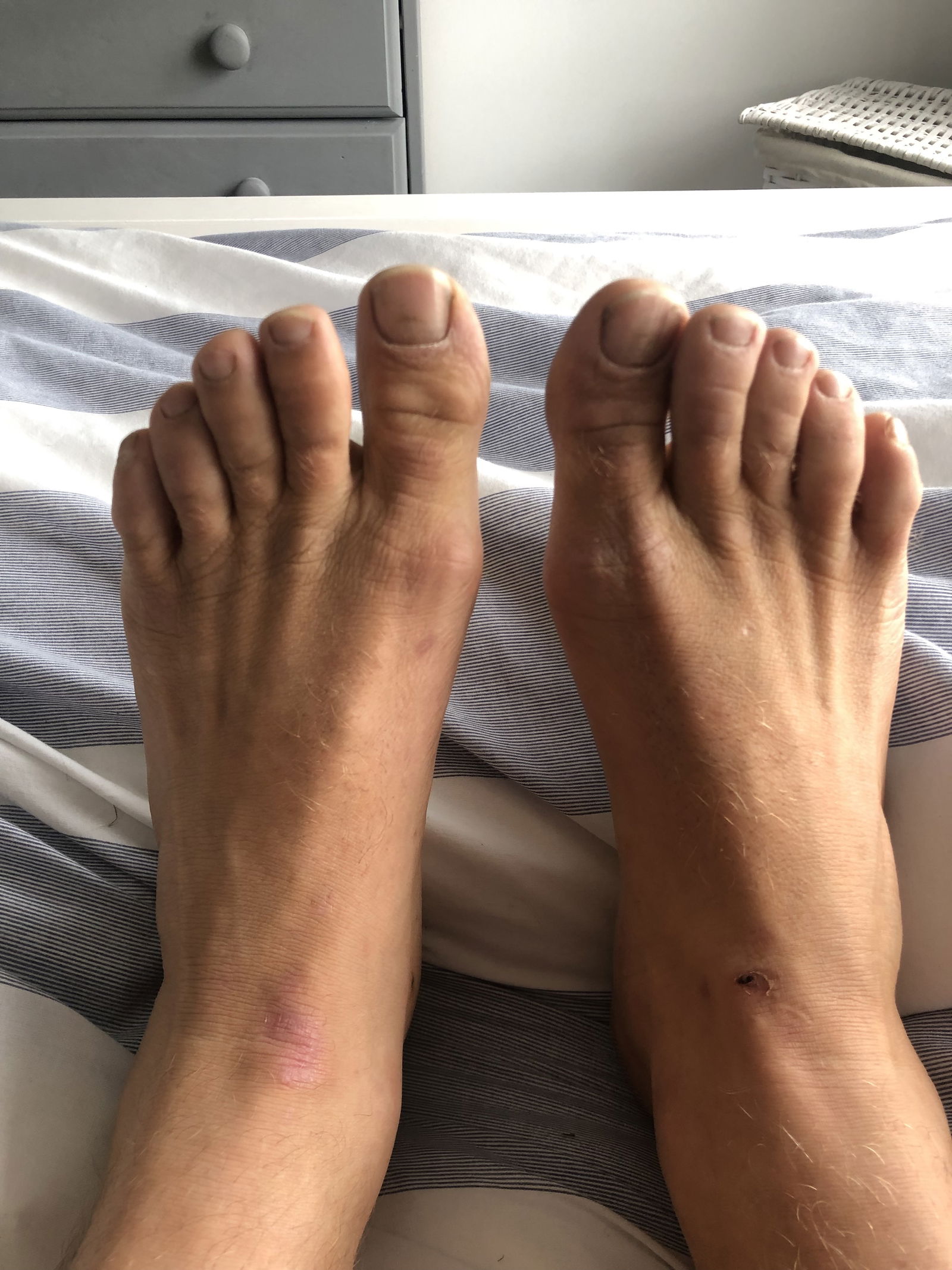 BareFootCanadian's avatar