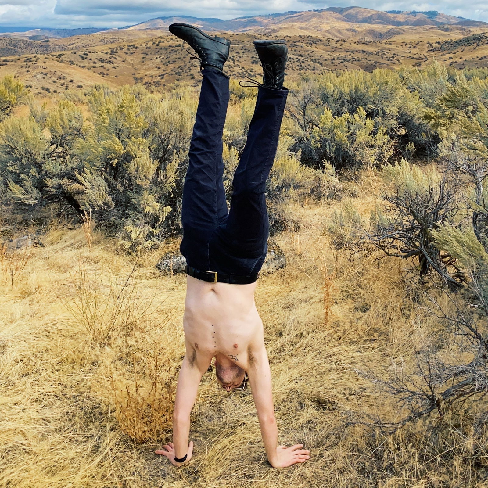 Scott Mountain's avatar