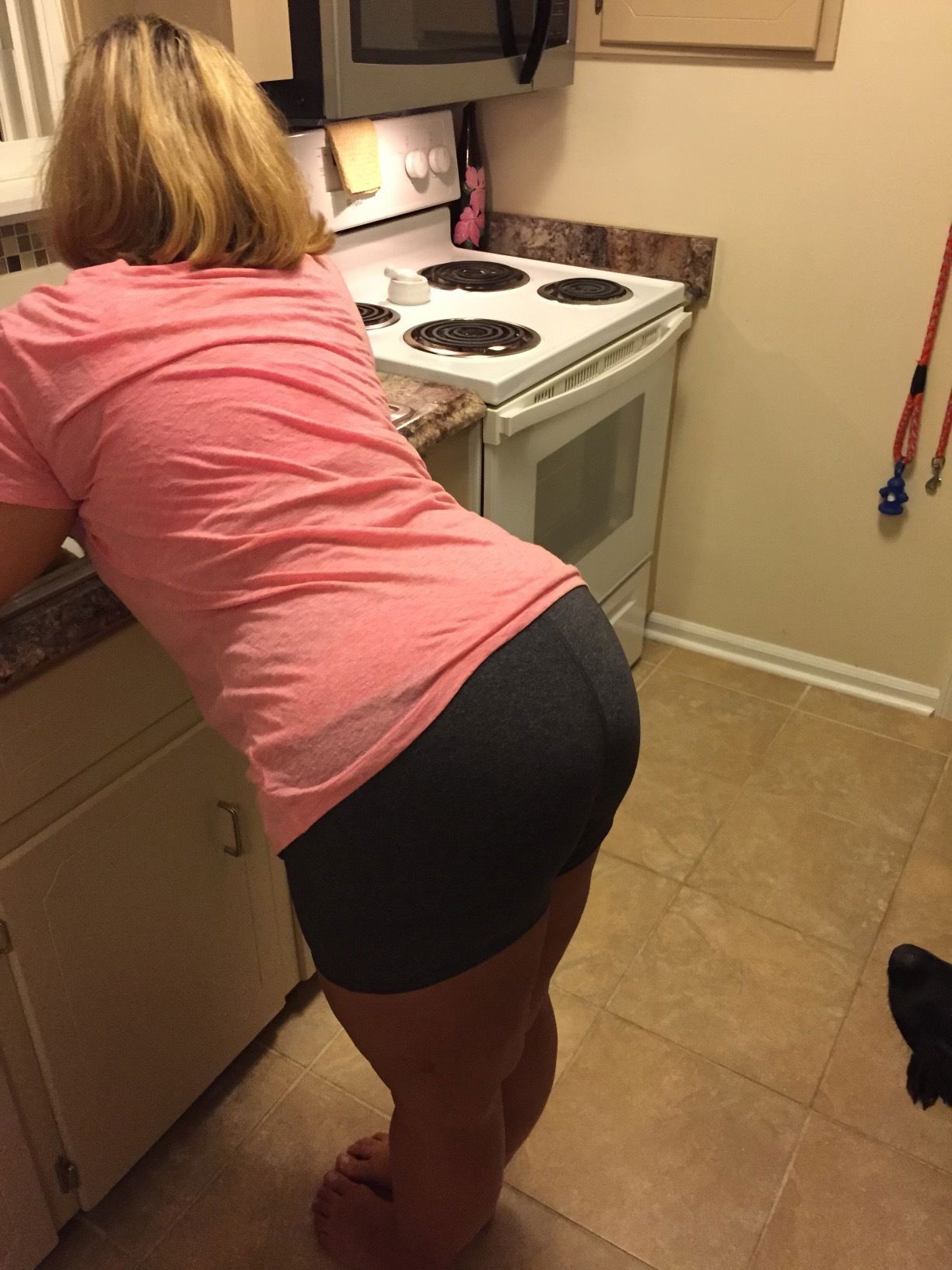 Bashful Booty's avatar