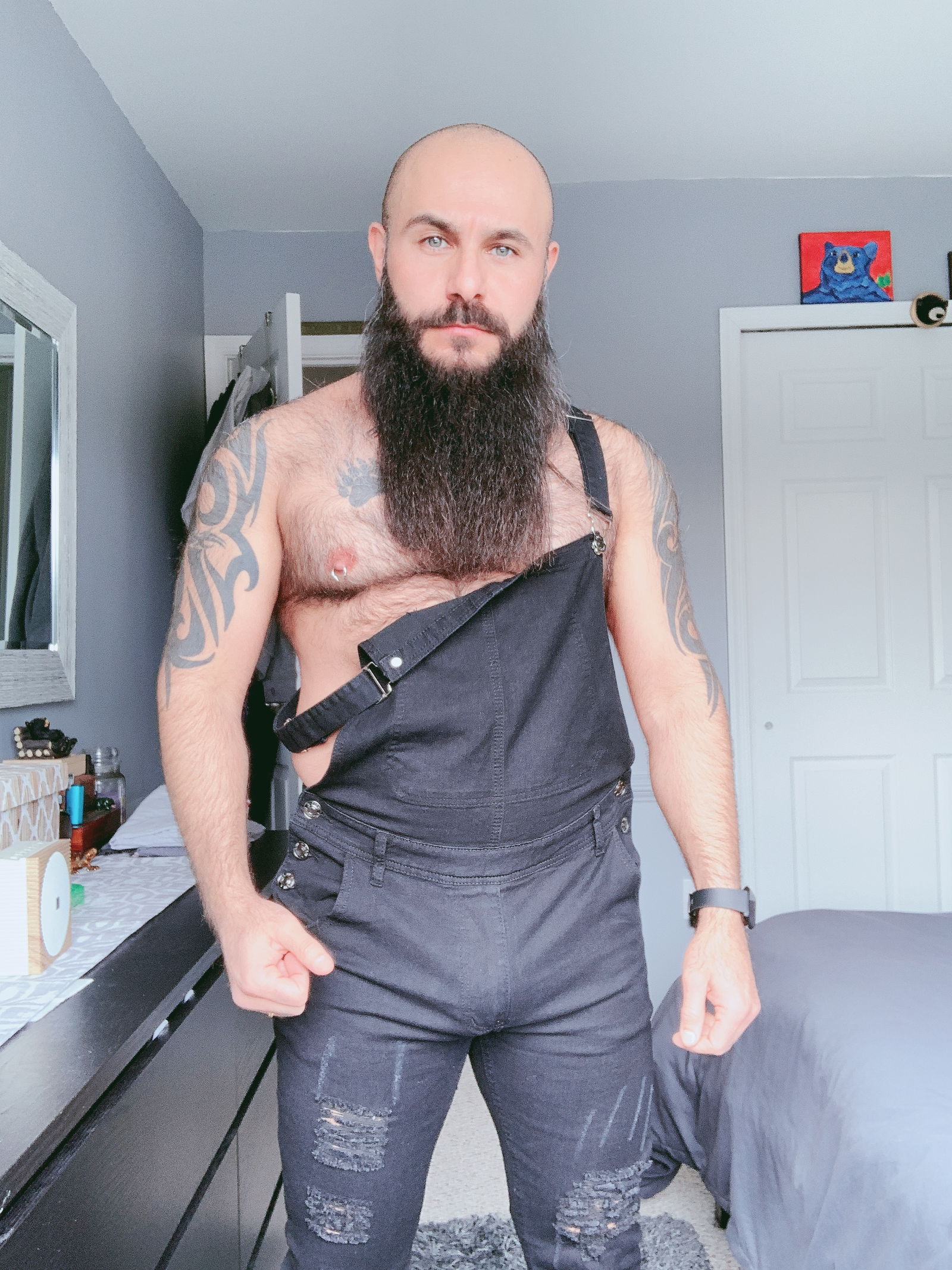 The Bearded Bear Man's avatar