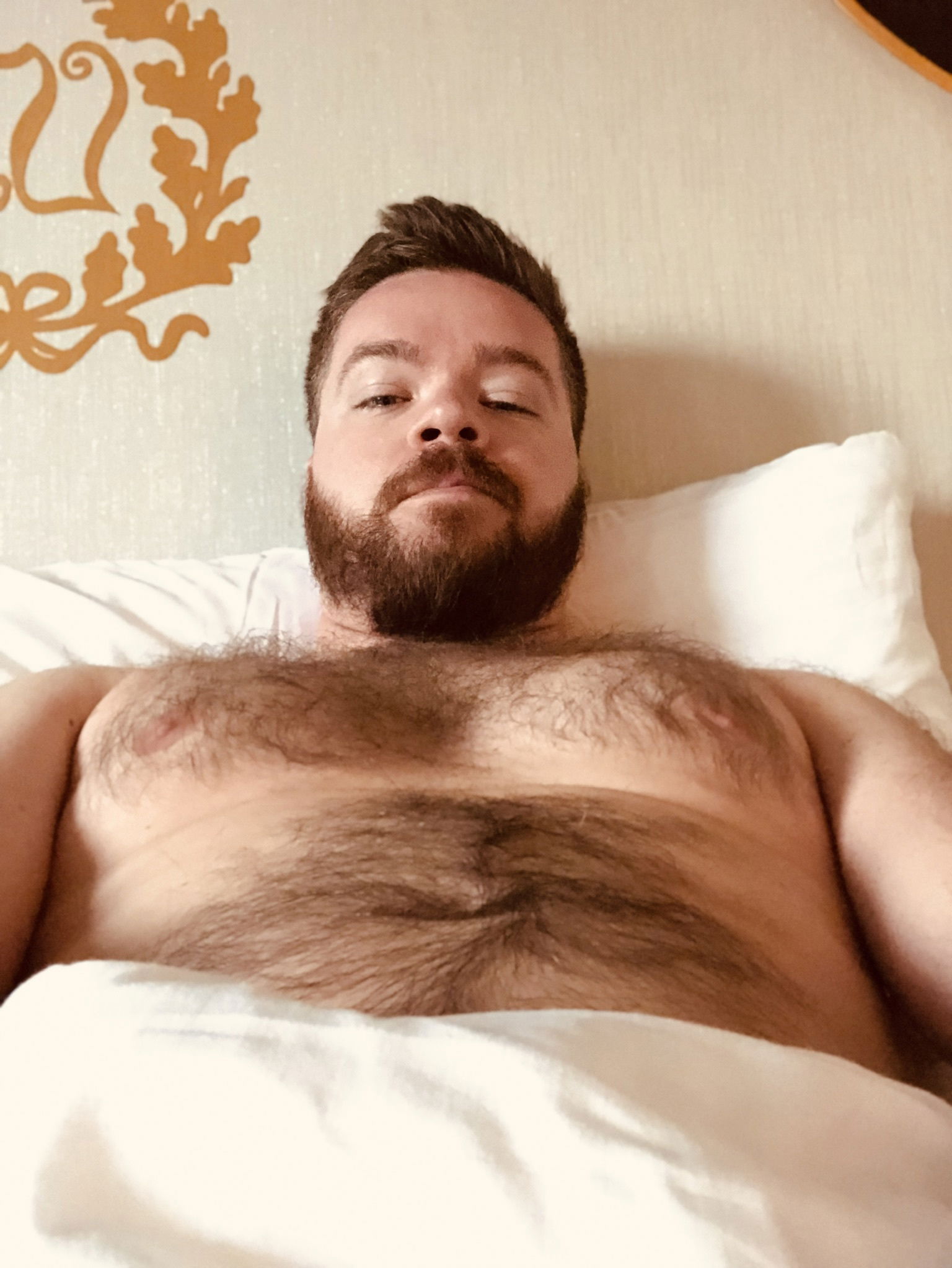 Bearded Dave's avatar