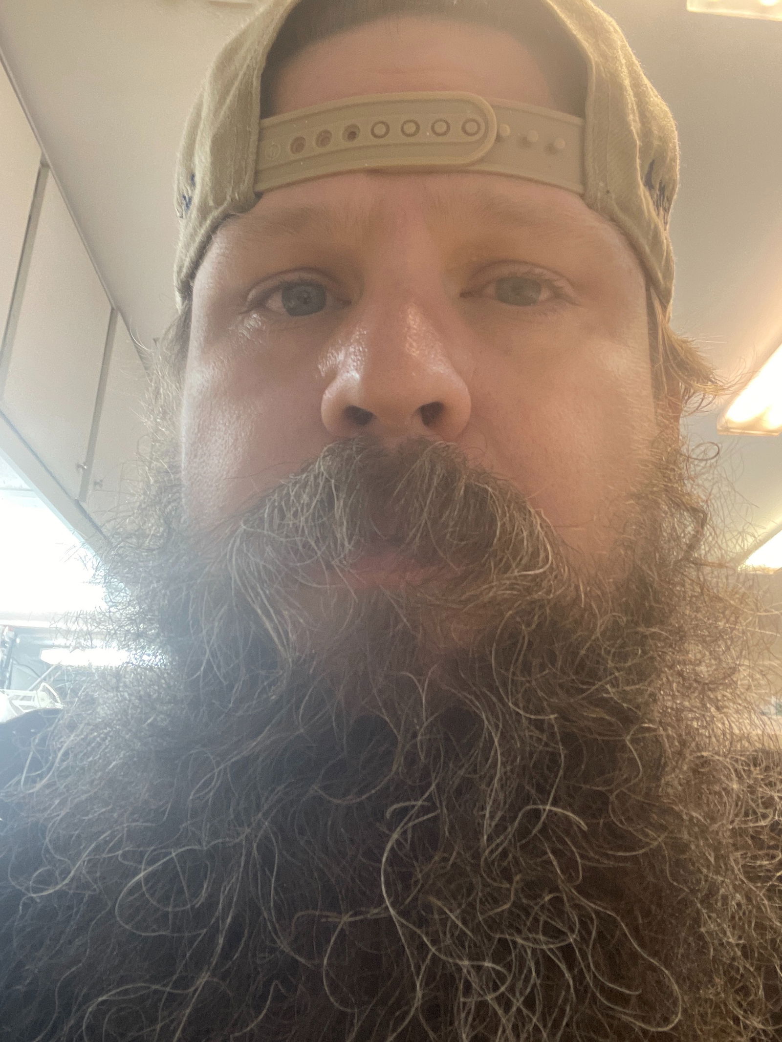 Beardeddude82's avatar