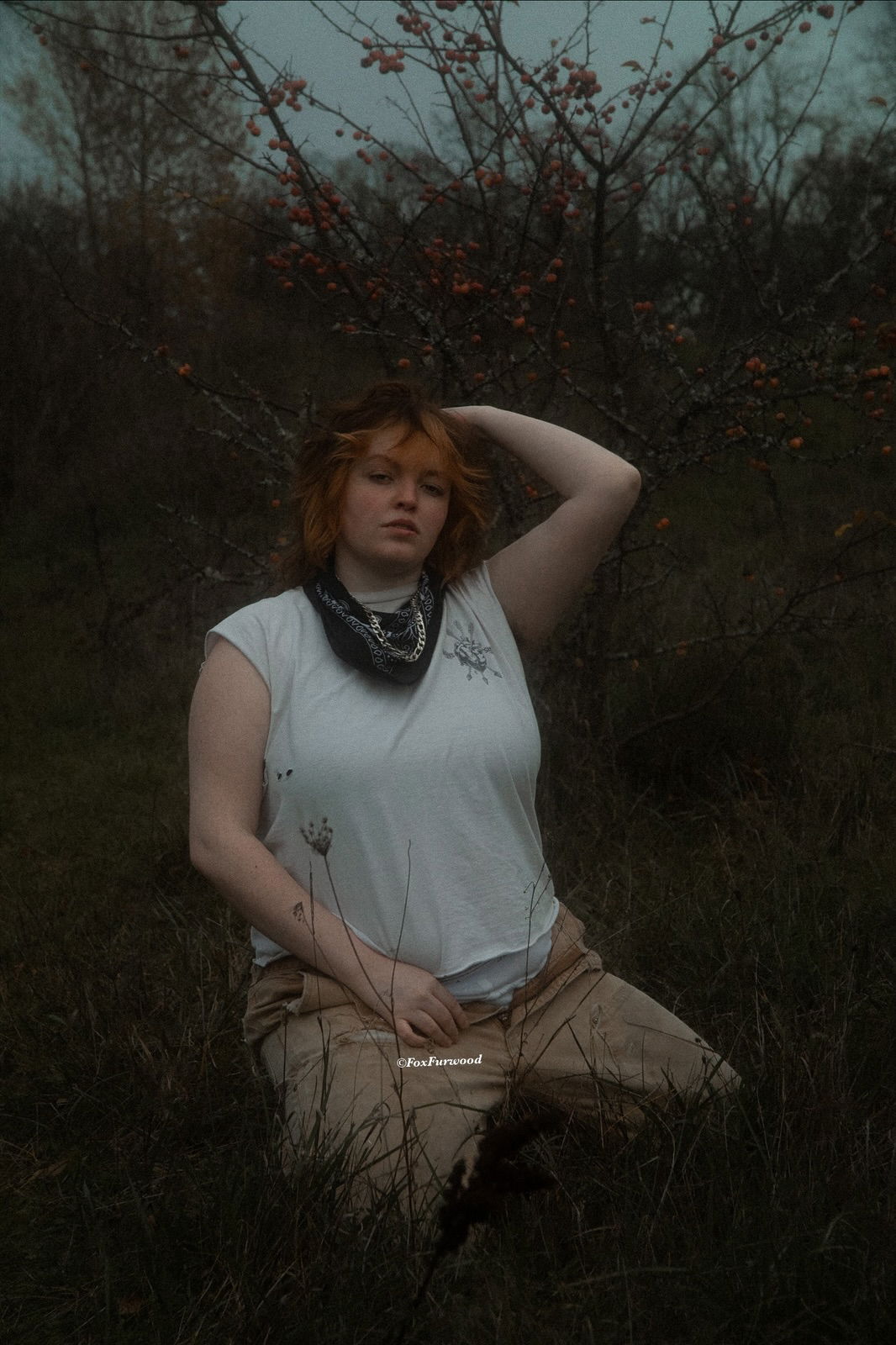 Fox Furwood 🦊🌲🪵's avatar