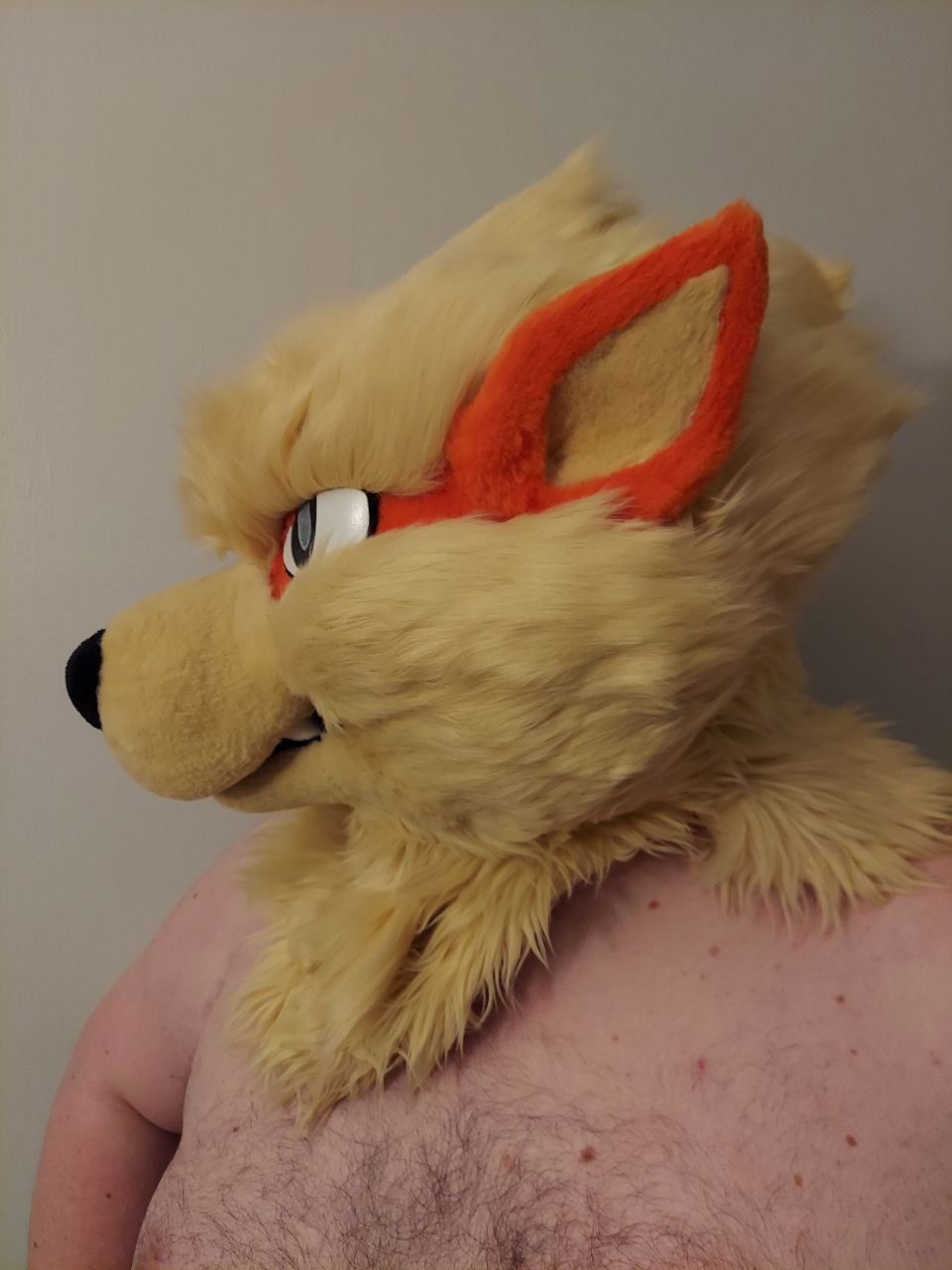 BigObeseDog