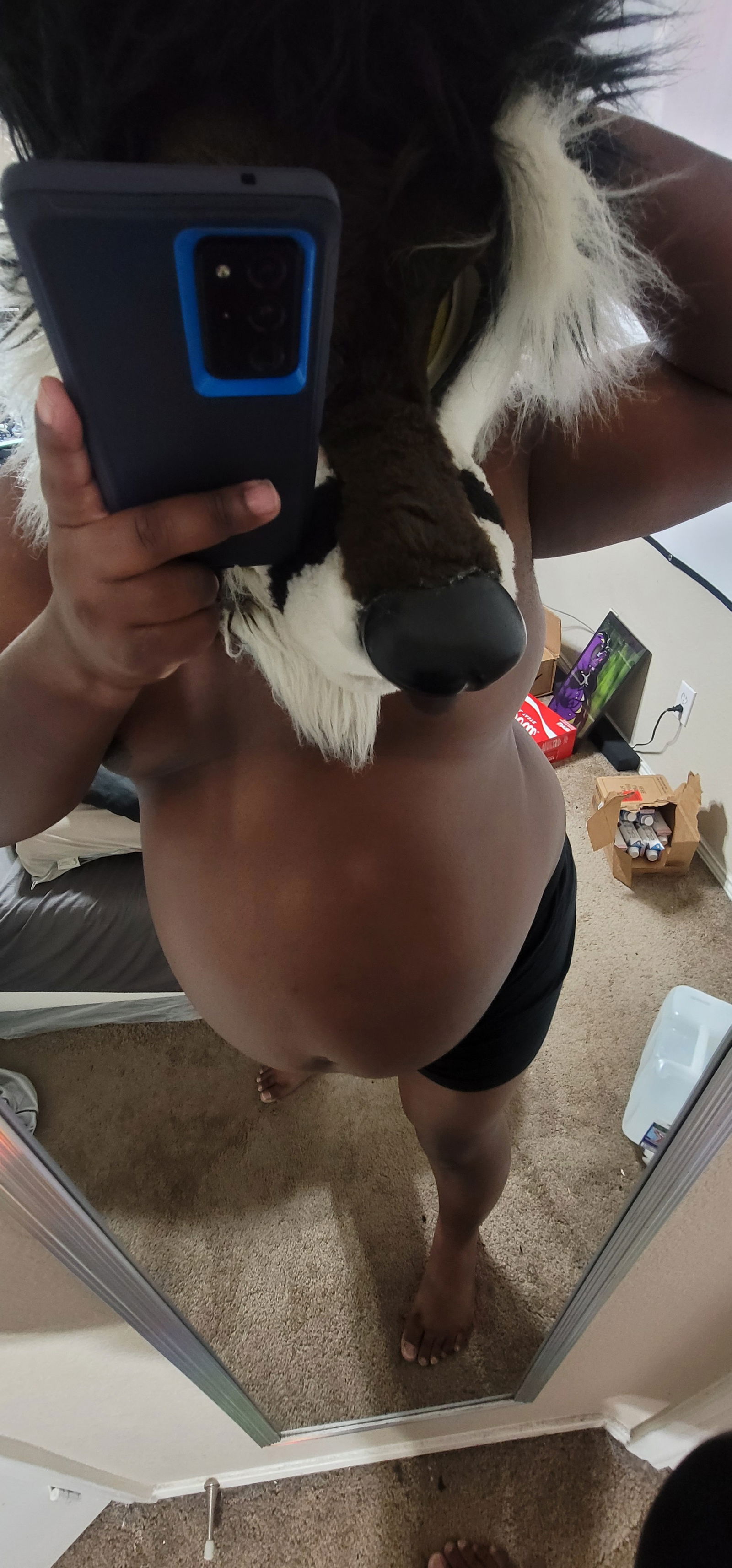 SebastianBelly's avatar