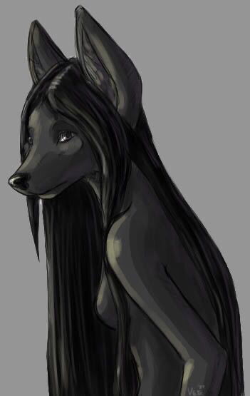 BingoTheWolf's avatar