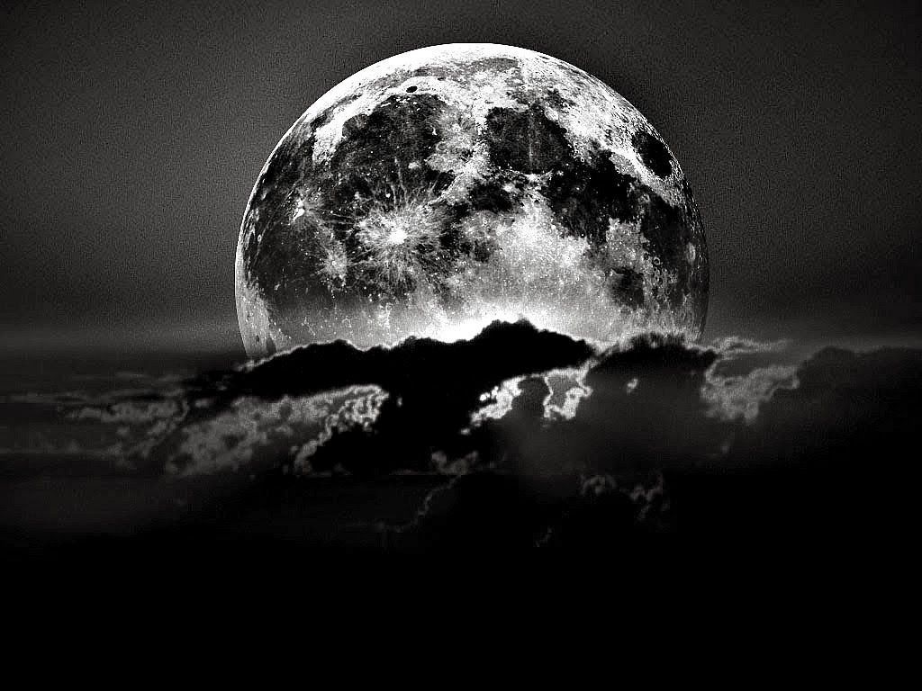BLACK MOON GIRLFRIEND's avatar