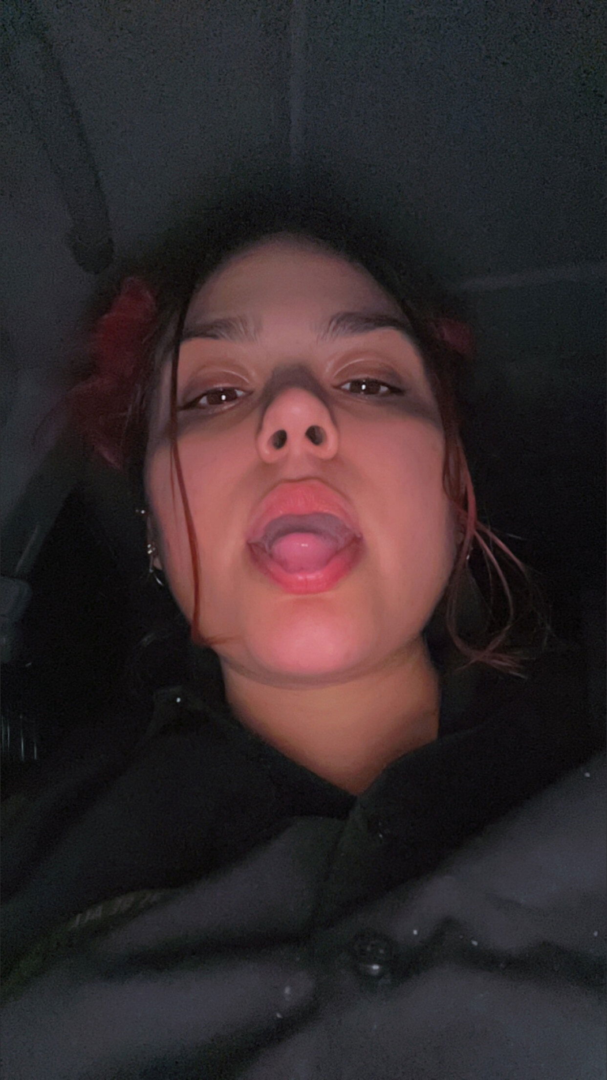 Blazed Bunny's avatar