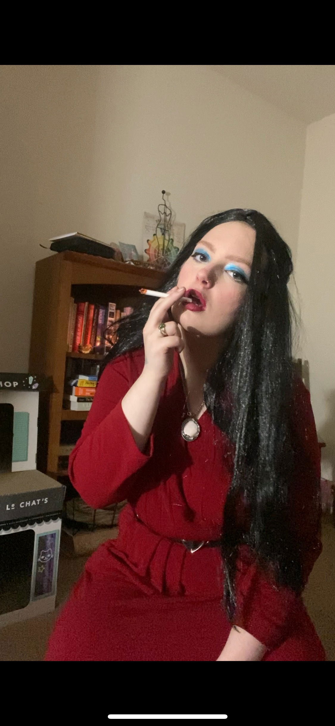beanie boob's avatar