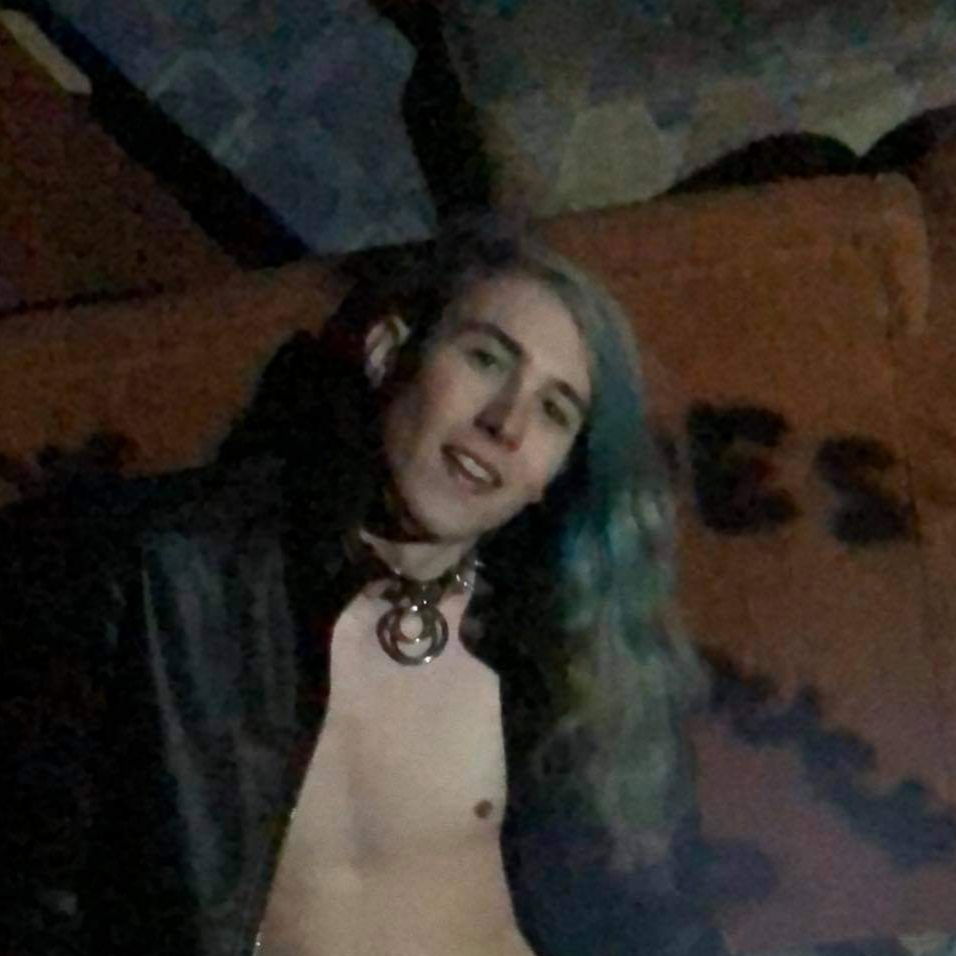 Bosco Bitch's avatar
