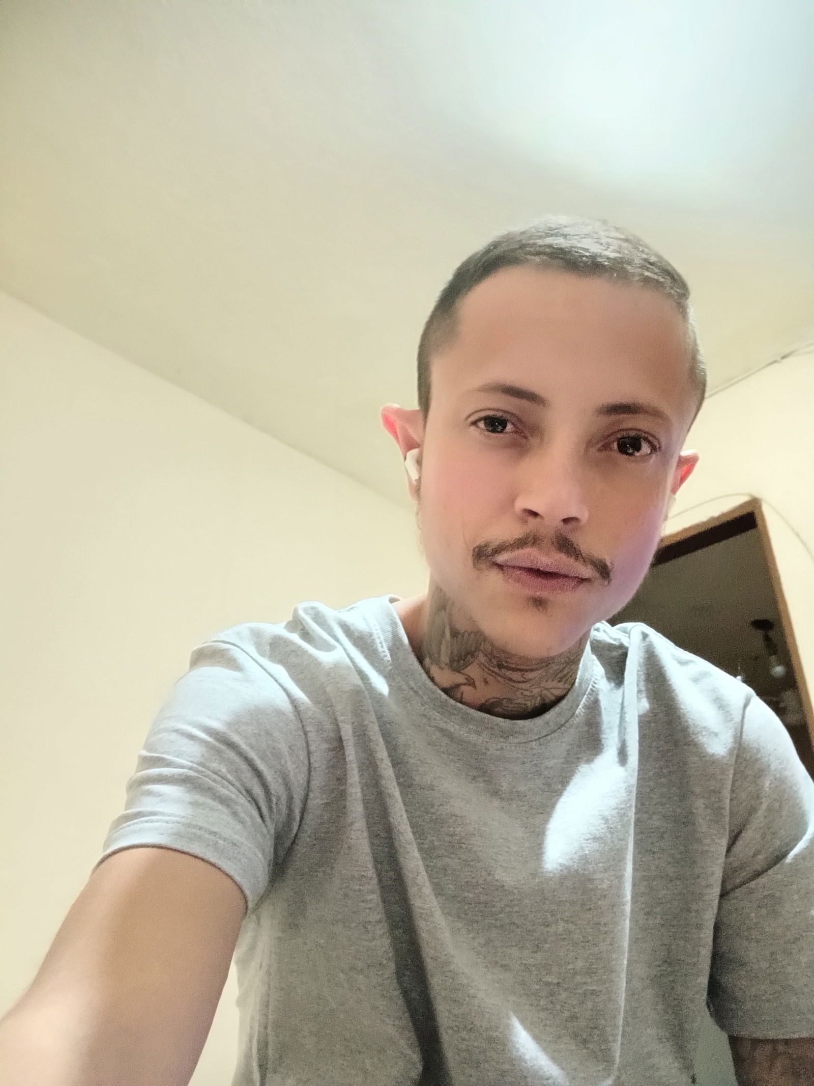 🇧🇷BOYTRANS🏳️‍⚧️'s avatar