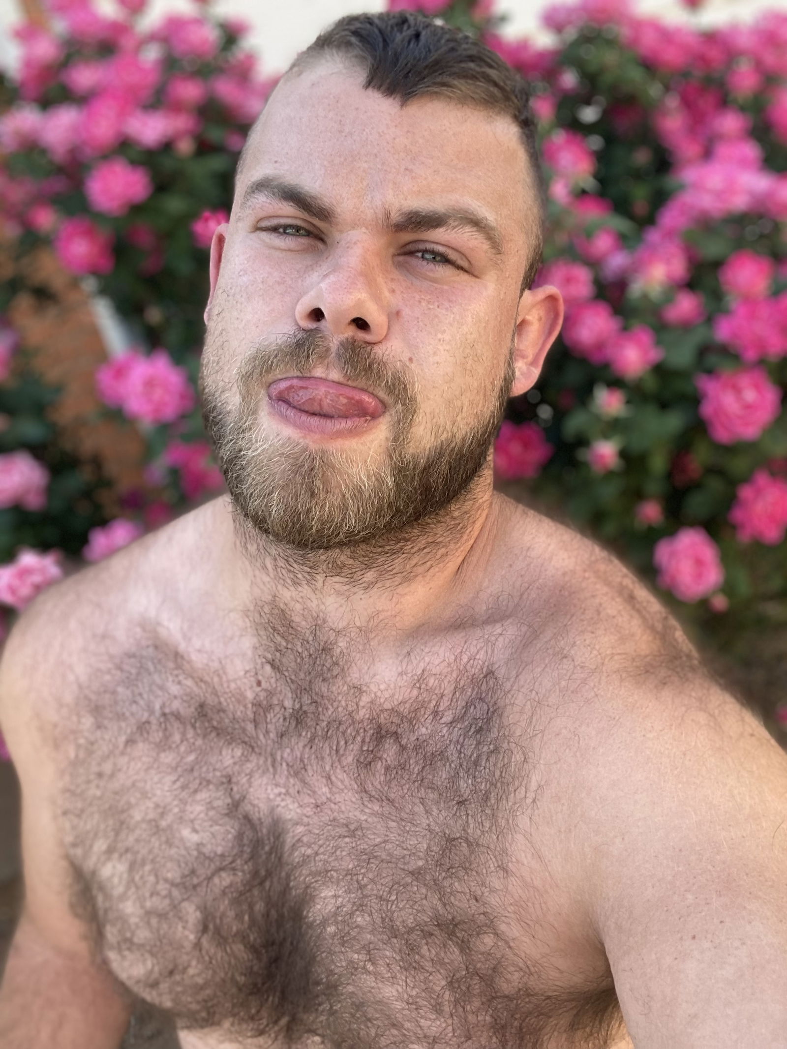 Brandon Cox's avatar