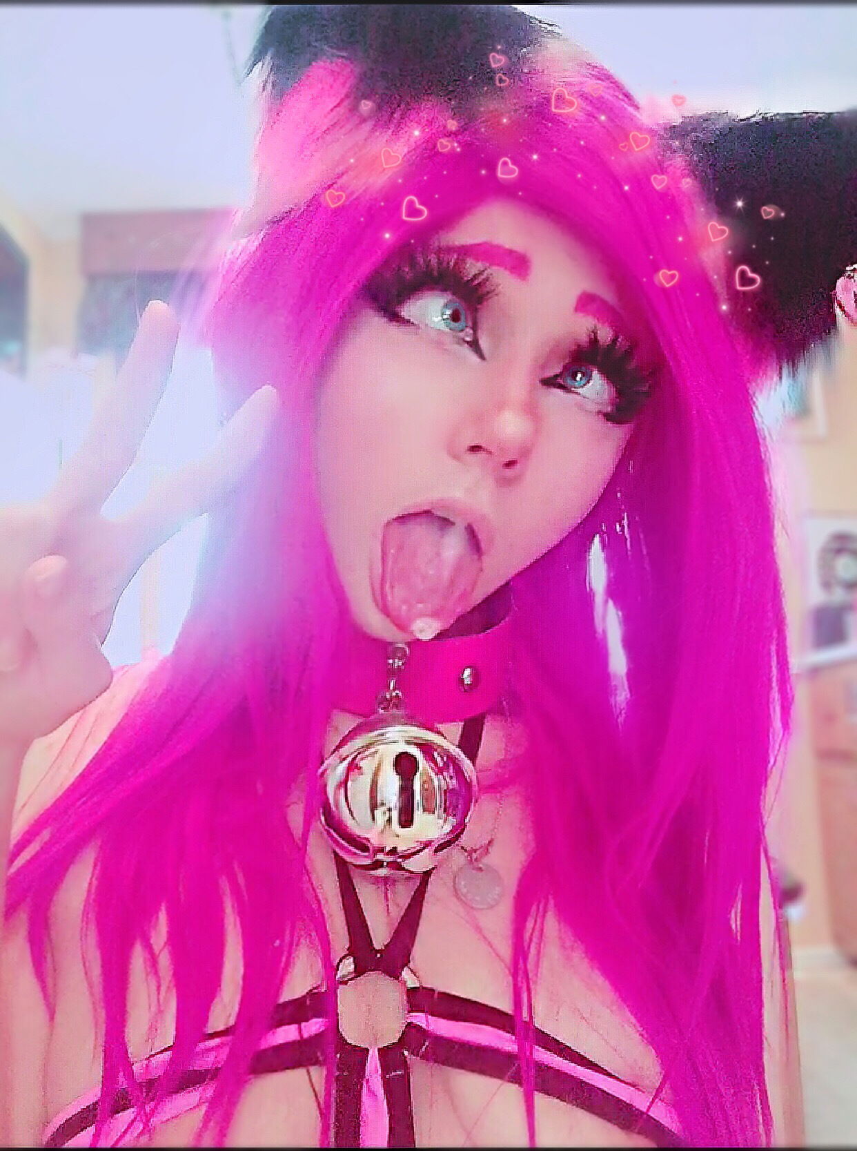 Bratty Cat (๑•̀ω•́ฅ✧'s avatar