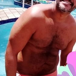 Brazilian Bearback Bear