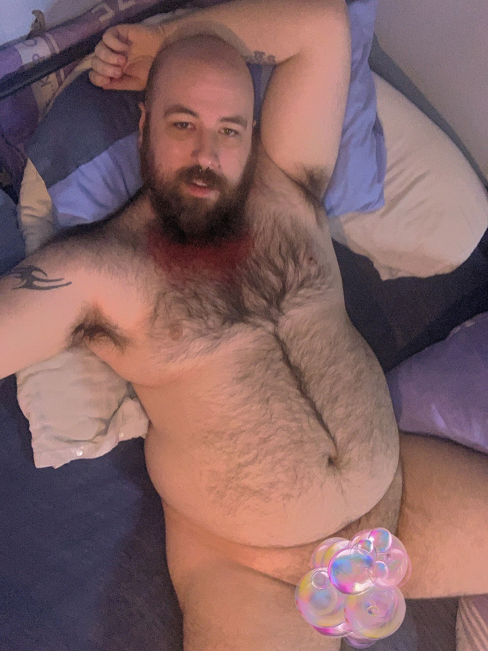 British_Bear69's avatar