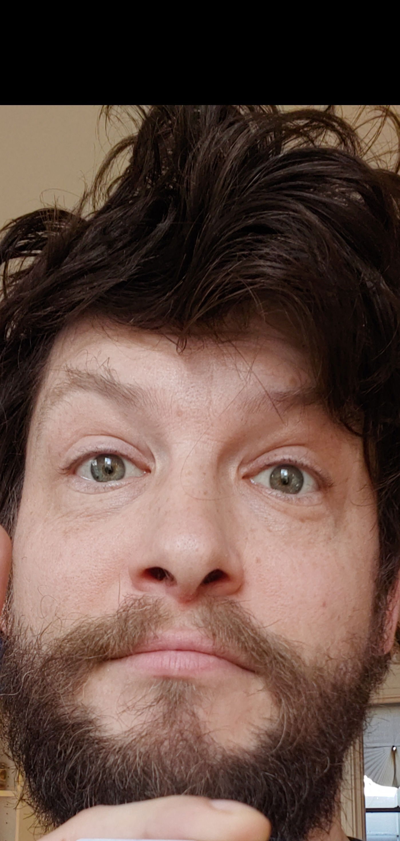 brucedickhamster19's avatar