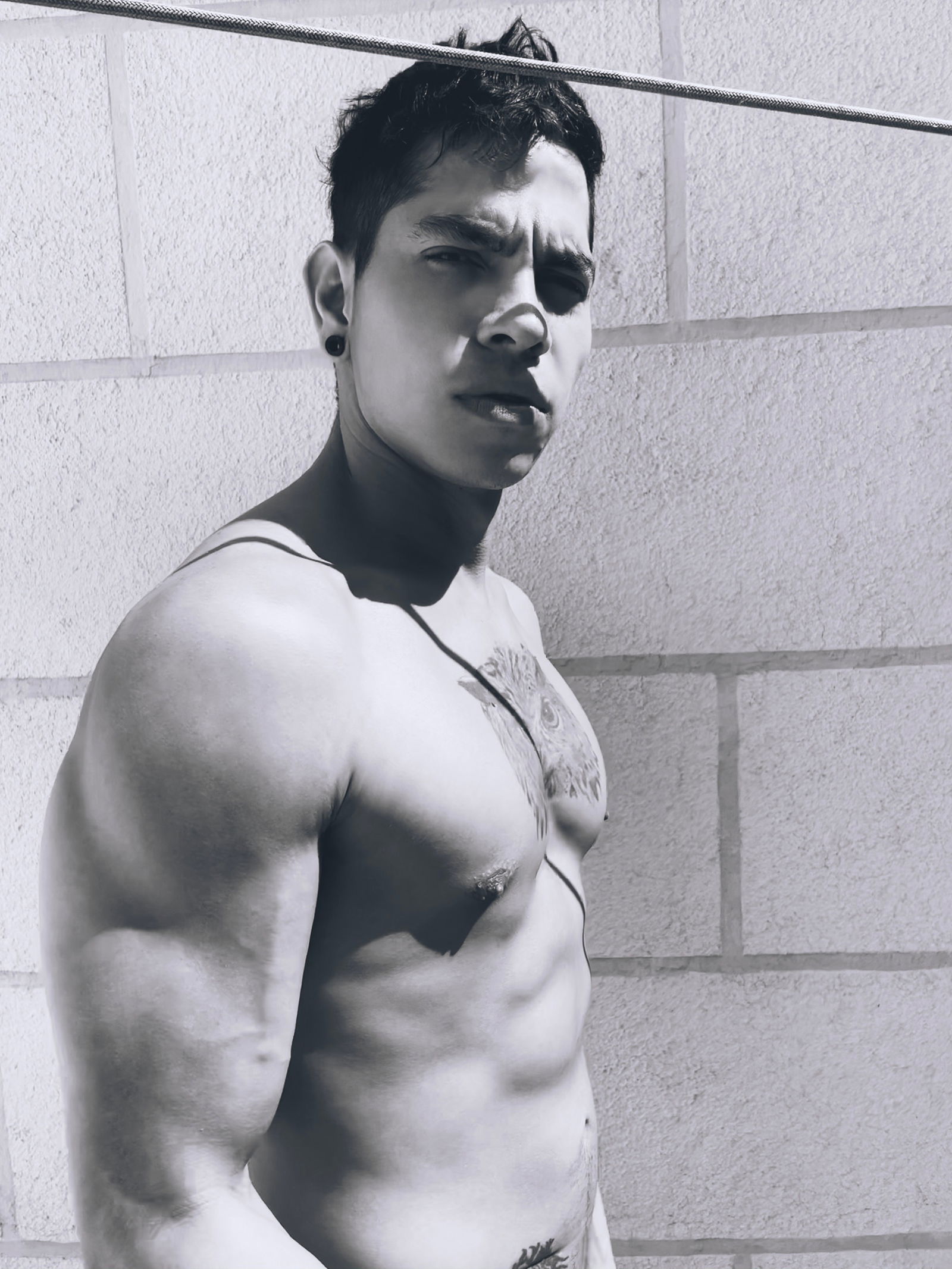 brunnocox's avatar