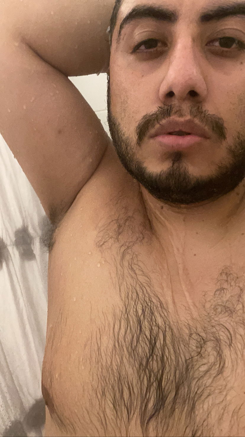 Bussy Bear's avatar