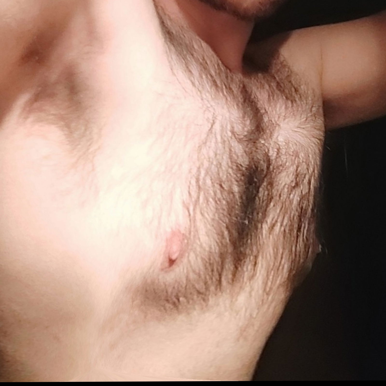 Hairy Bear 🐻's avatar