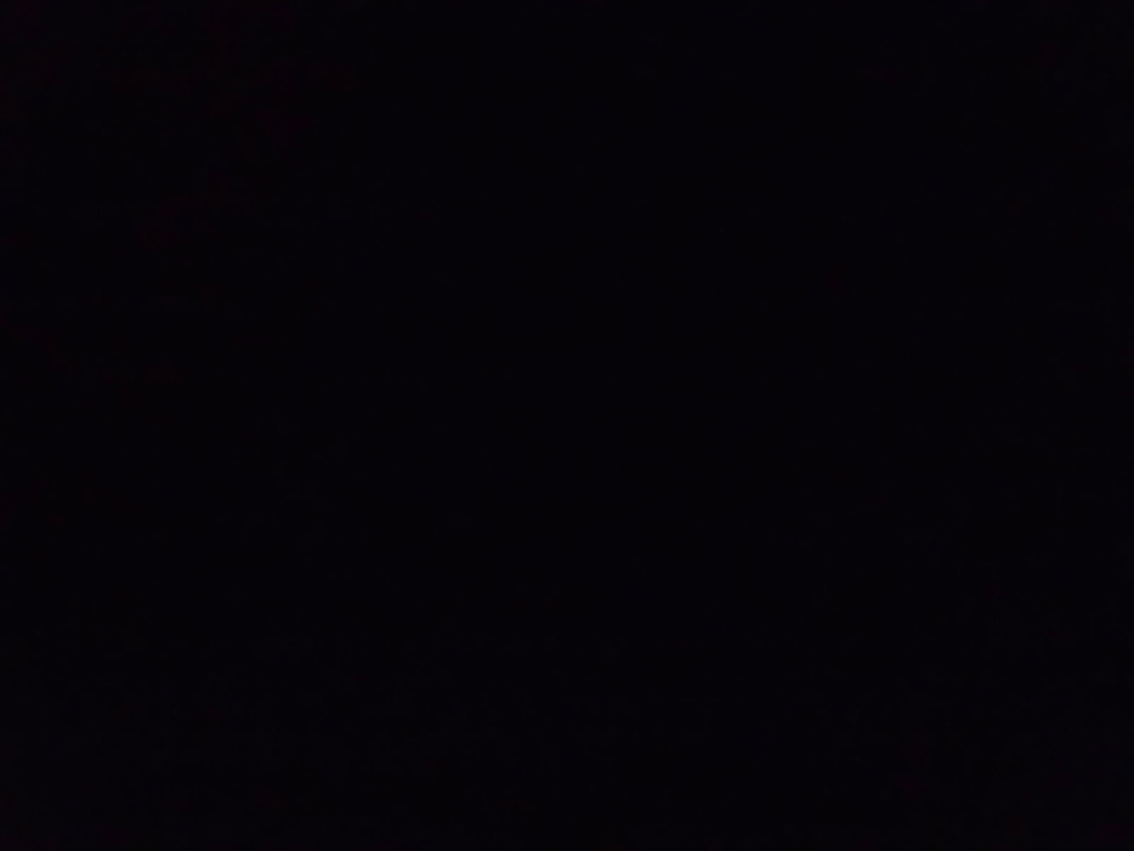 CagedBitch