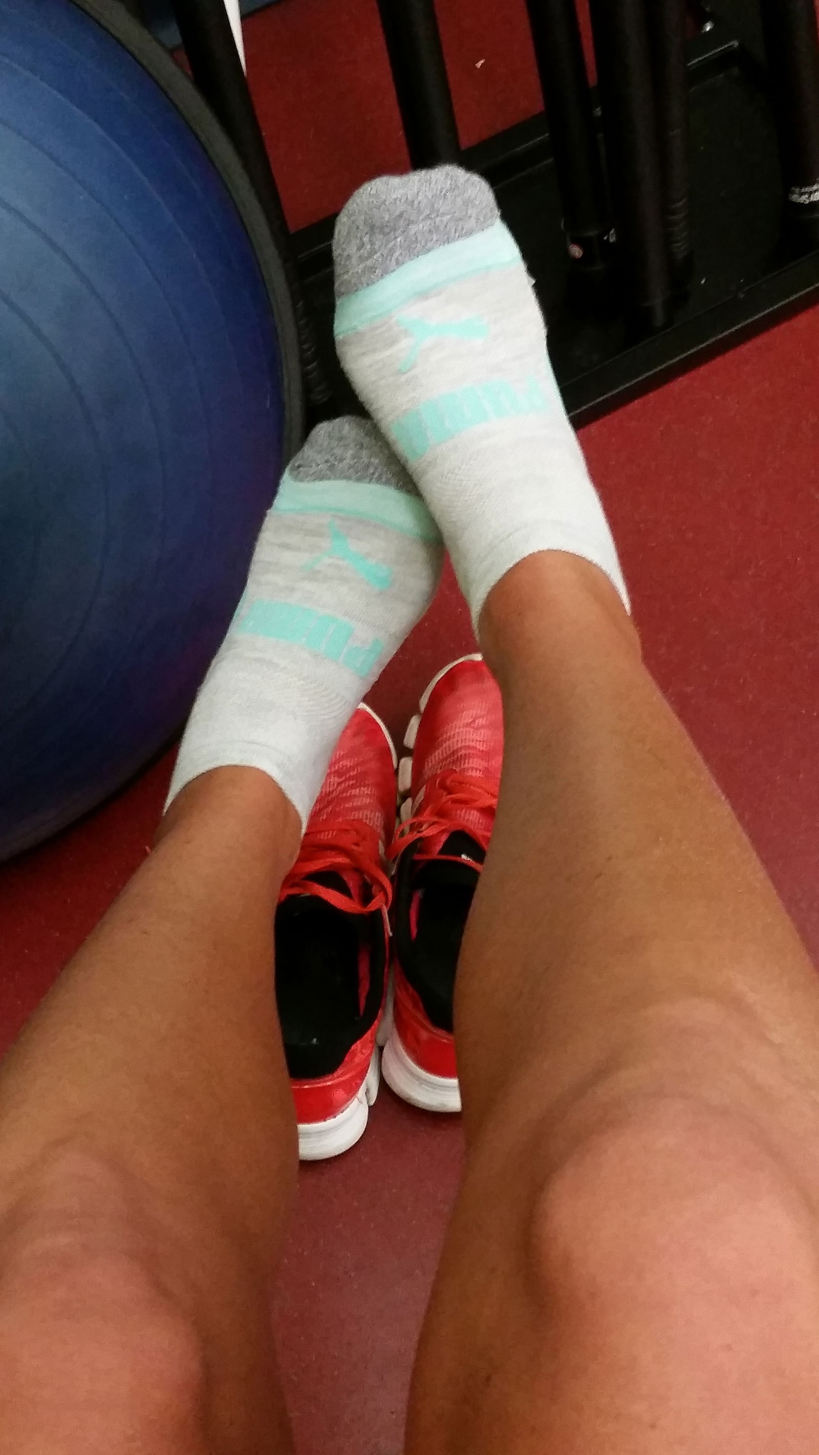 Camtastical Socks's avatar