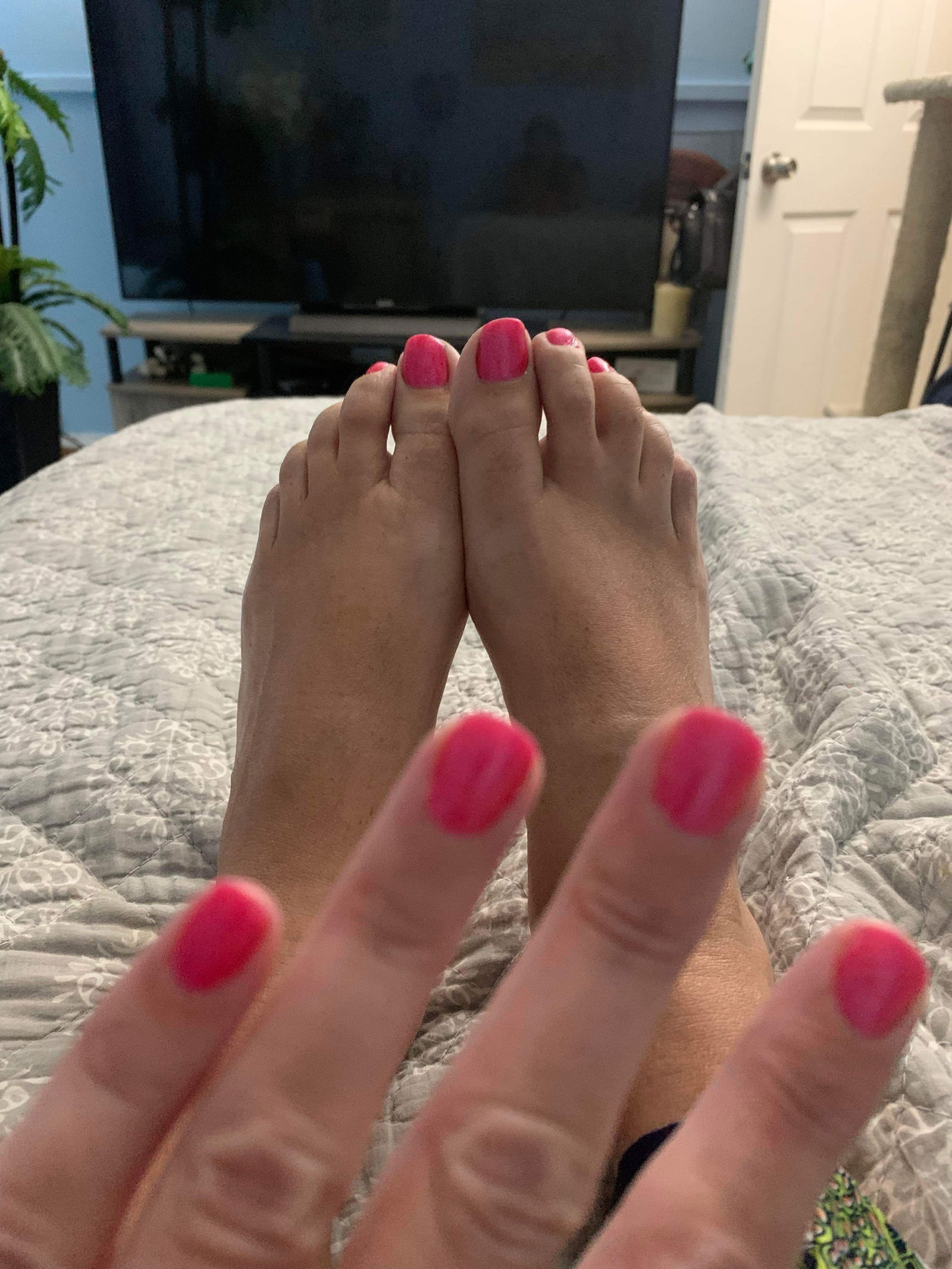 Carmen’s sexy feet's avatar