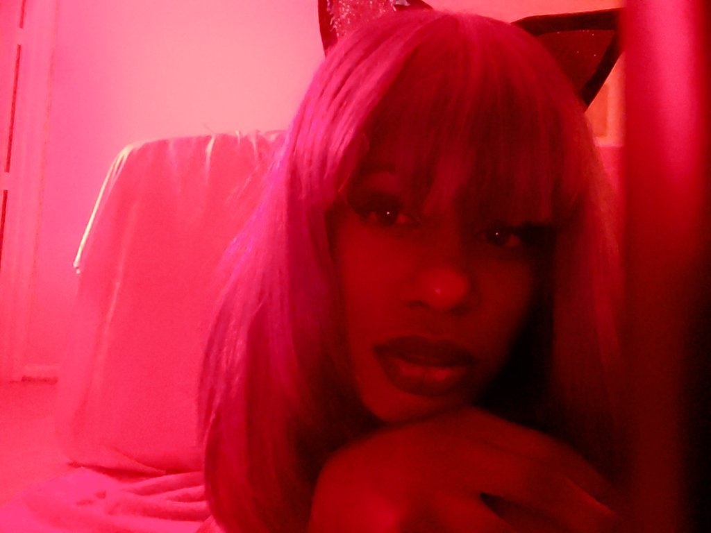 Cat Bitch's avatar