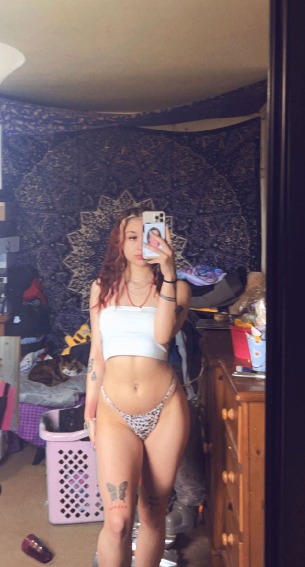 Cat 🥰❤️'s avatar