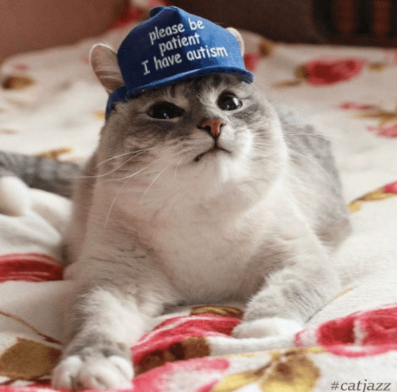Cat's avatar