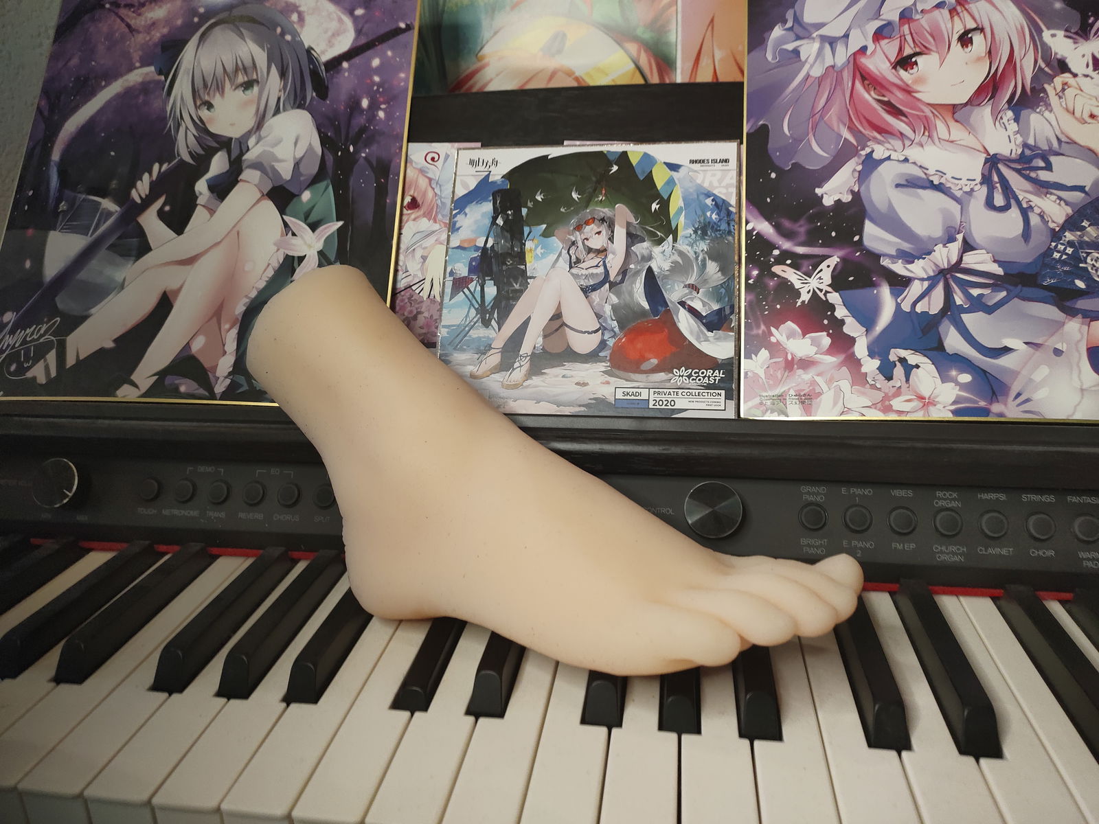 CeFeet