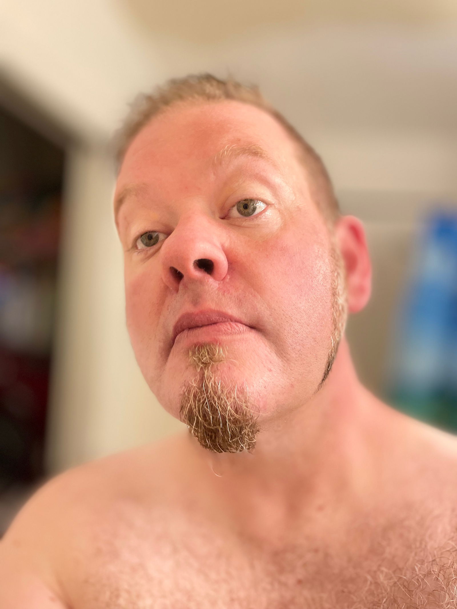 Chase Lotus's avatar